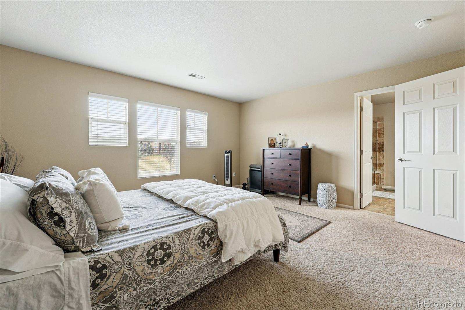 MLS Image #25 for 9079  apache plume drive,parker, Colorado