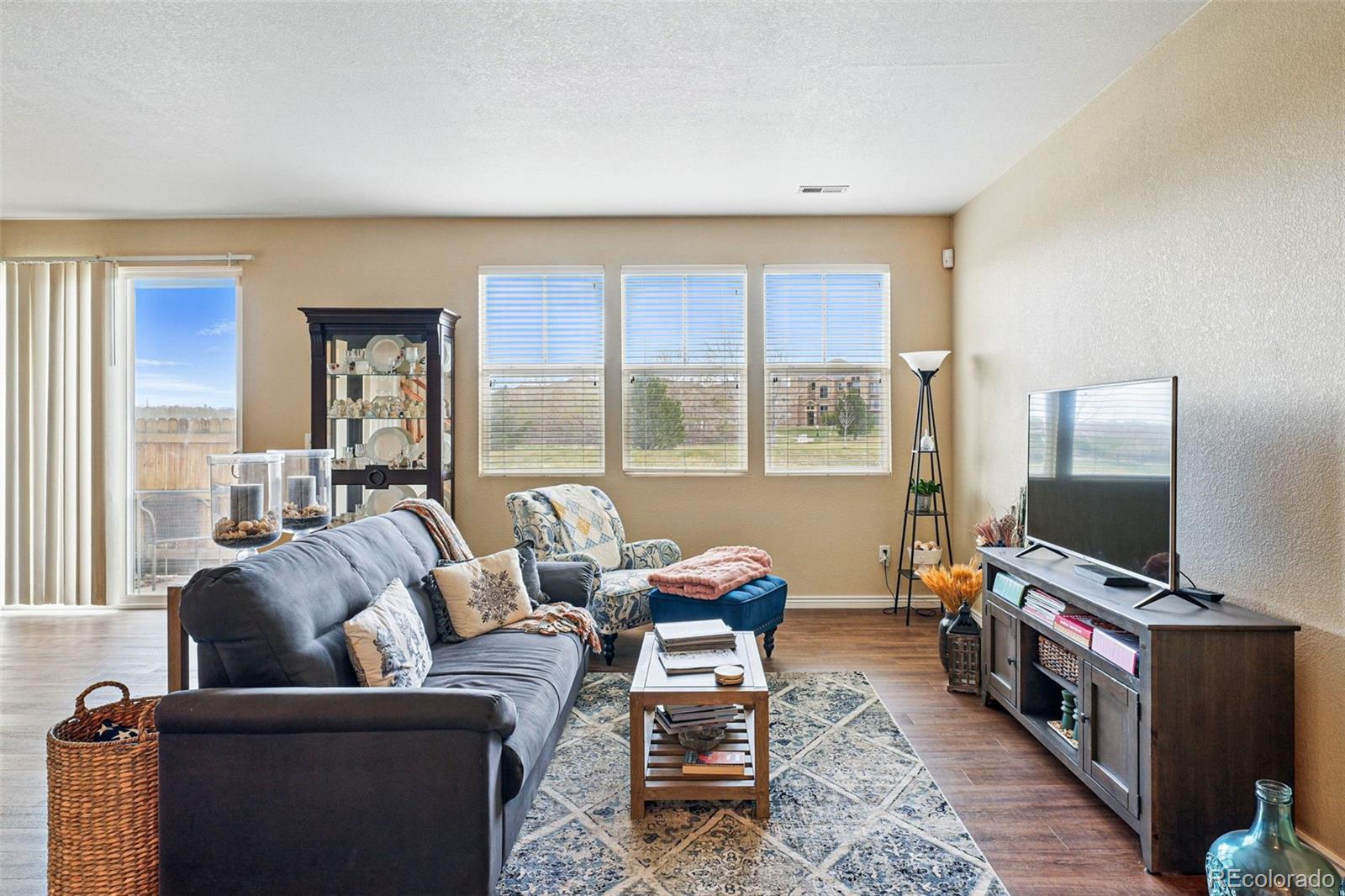 MLS Image #3 for 9079  apache plume drive,parker, Colorado