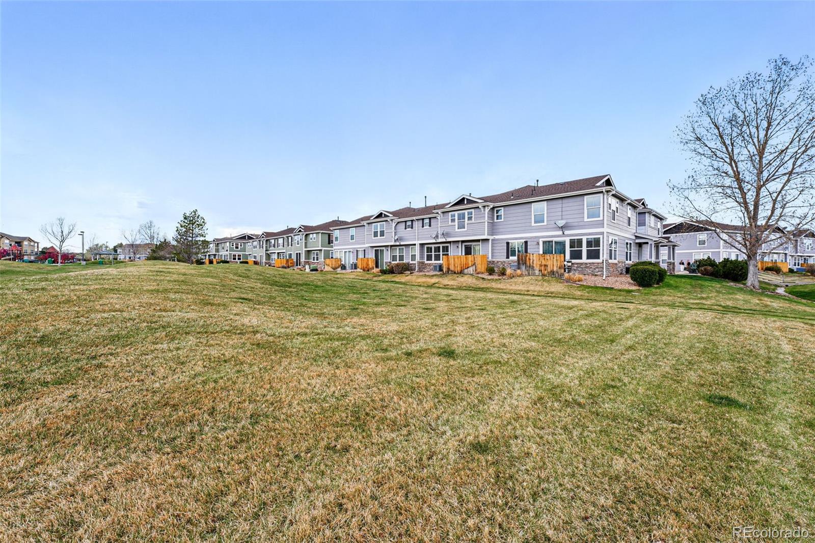 MLS Image #31 for 9079  apache plume drive,parker, Colorado