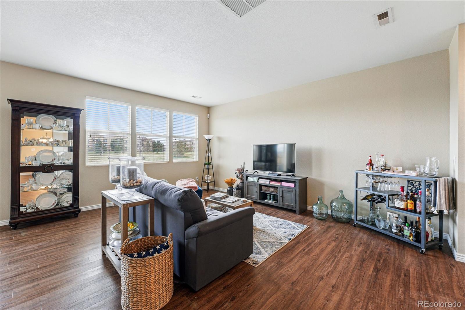 MLS Image #5 for 9079  apache plume drive,parker, Colorado