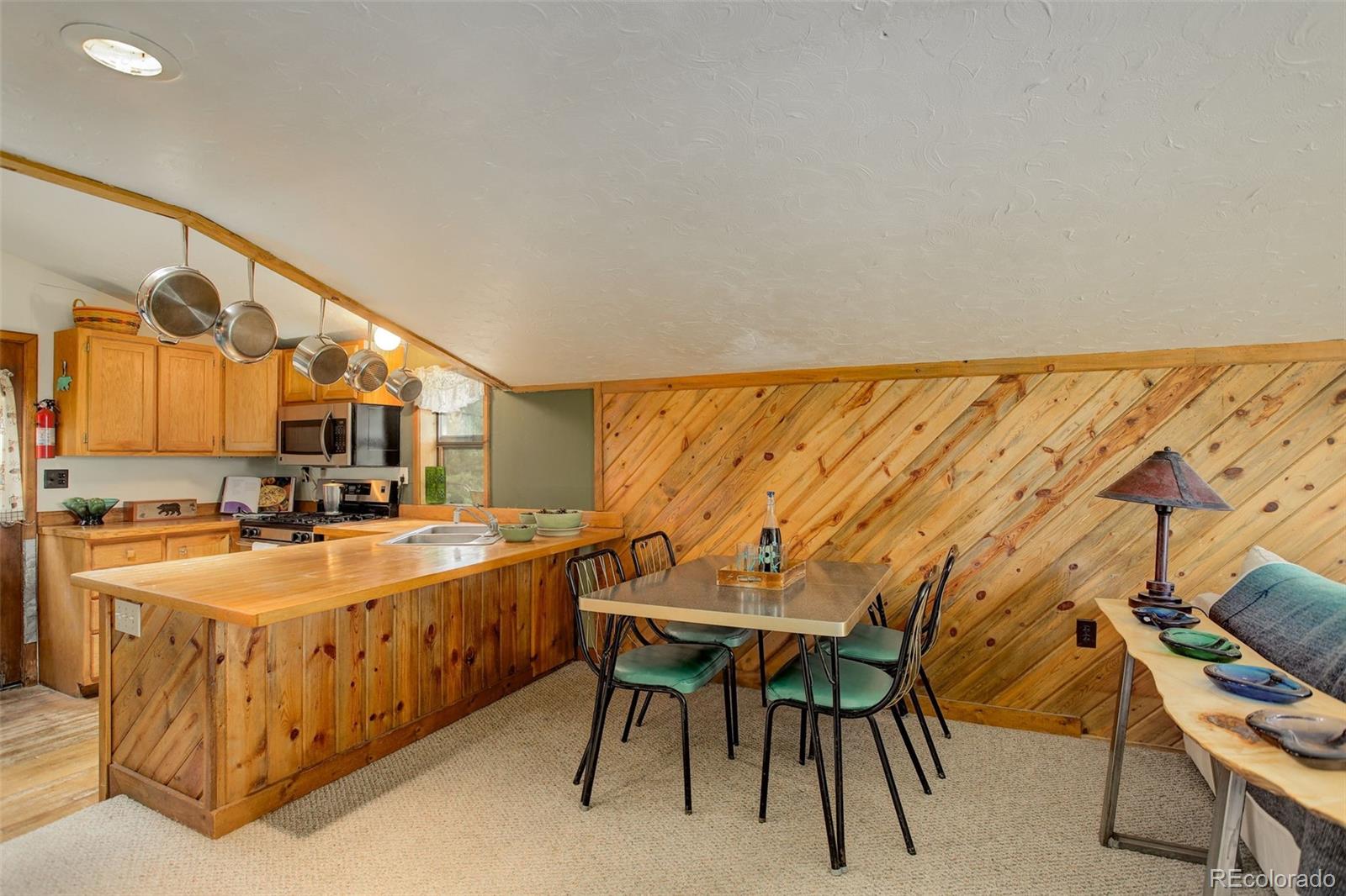 MLS Image #23 for 77 e crosscut ,bailey, Colorado