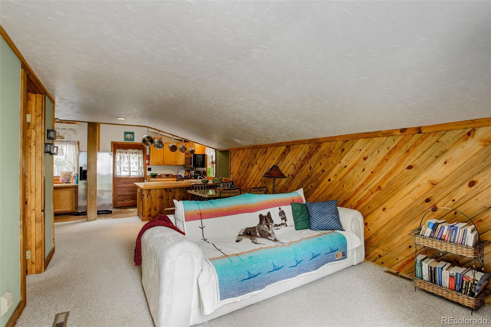 MLS Image #25 for 77 e crosscut ,bailey, Colorado