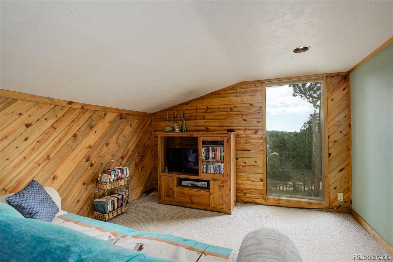 MLS Image #26 for 77 e crosscut ,bailey, Colorado