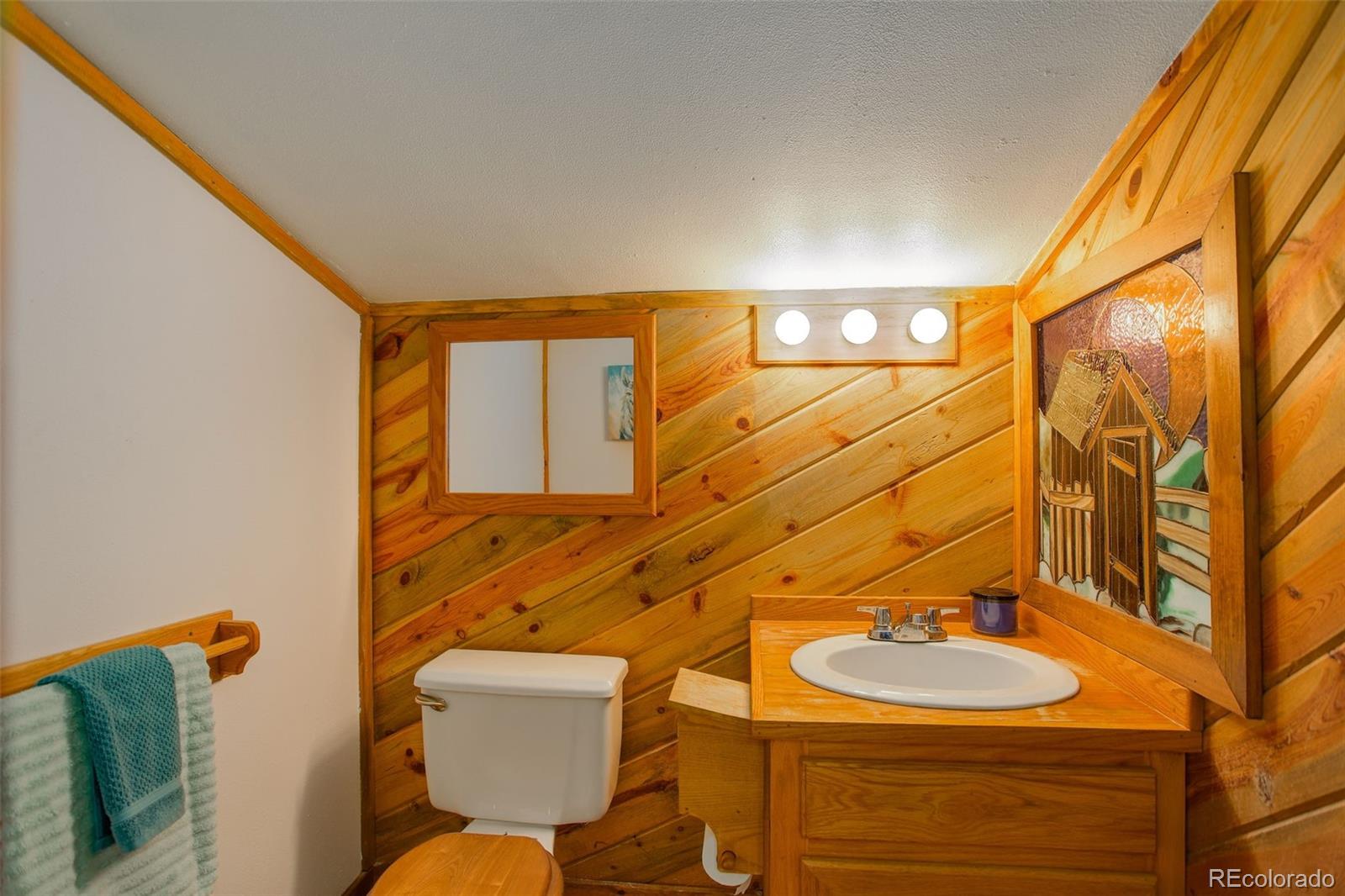 MLS Image #28 for 77 e crosscut ,bailey, Colorado
