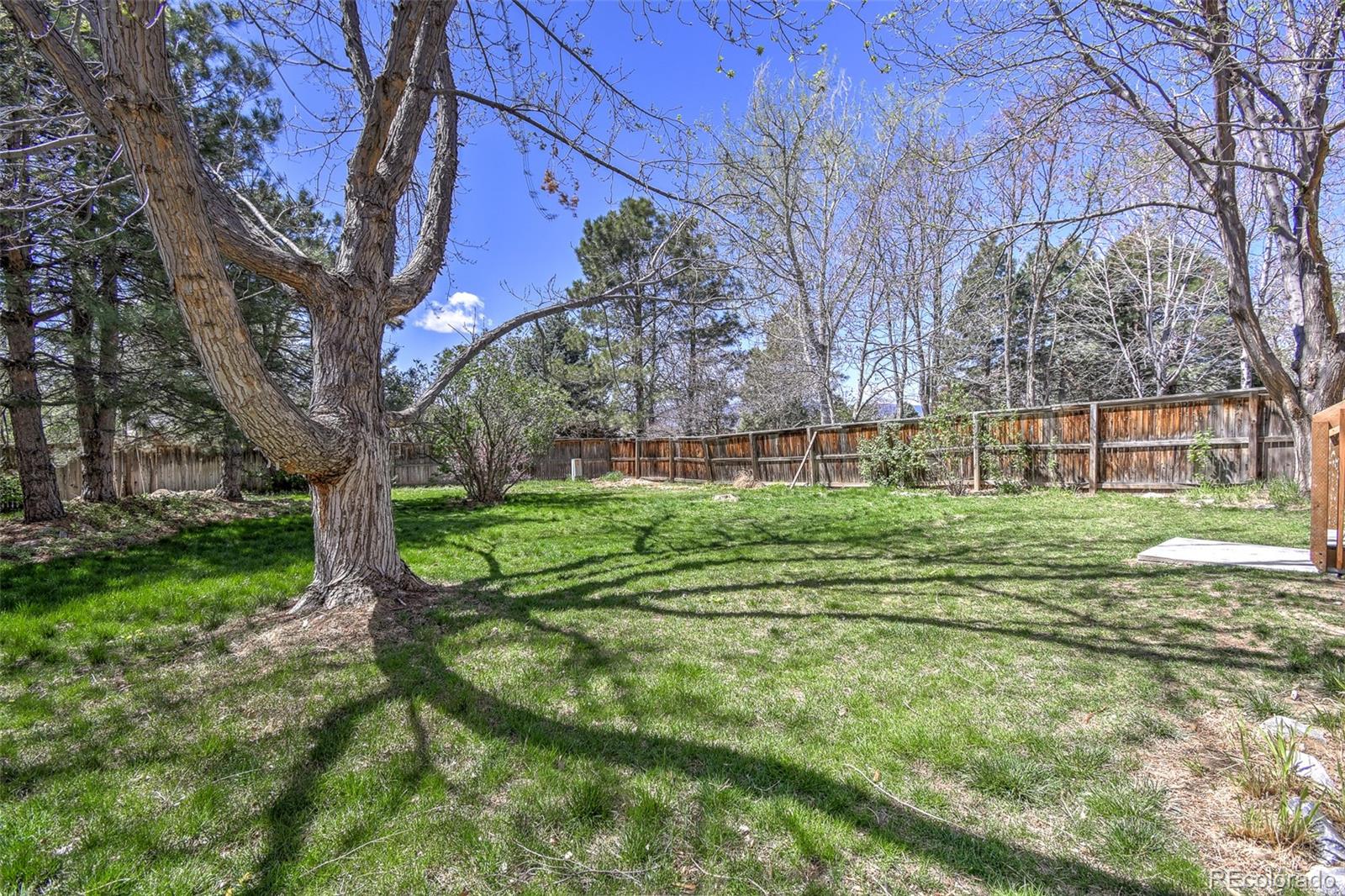 MLS Image #27 for 9265  roadrunner street,highlands ranch, Colorado