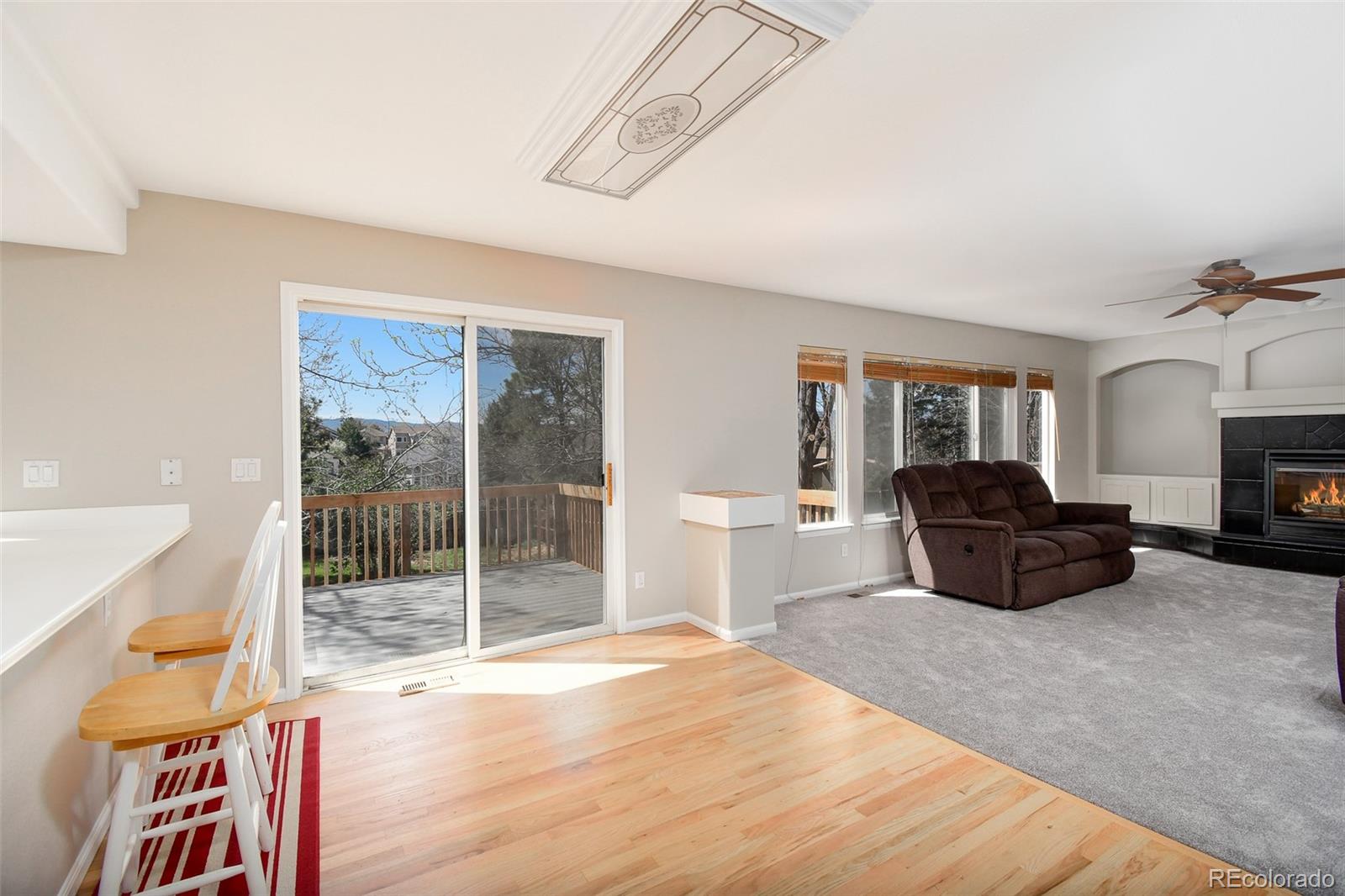 MLS Image #8 for 9265  roadrunner street,highlands ranch, Colorado