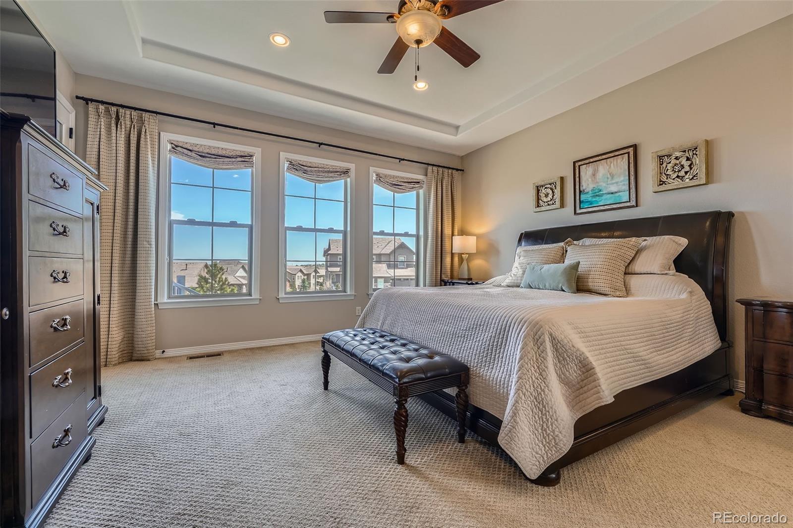 MLS Image #11 for 10646  winding pine point,highlands ranch, Colorado