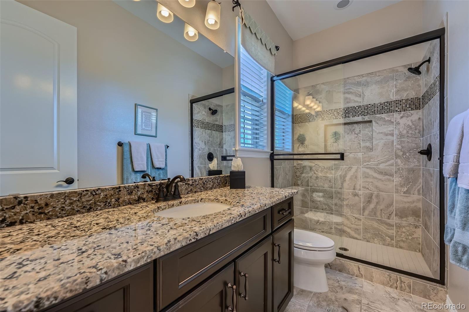 MLS Image #19 for 10646  winding pine point,highlands ranch, Colorado