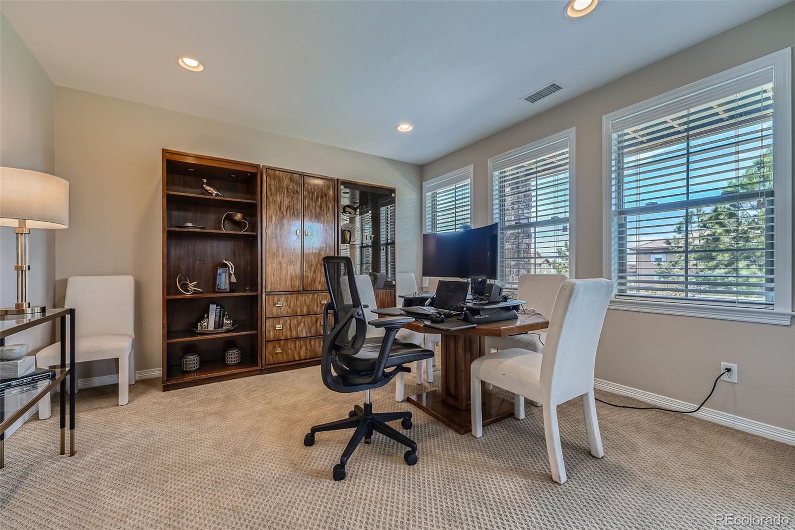 MLS Image #26 for 10646  winding pine point,highlands ranch, Colorado