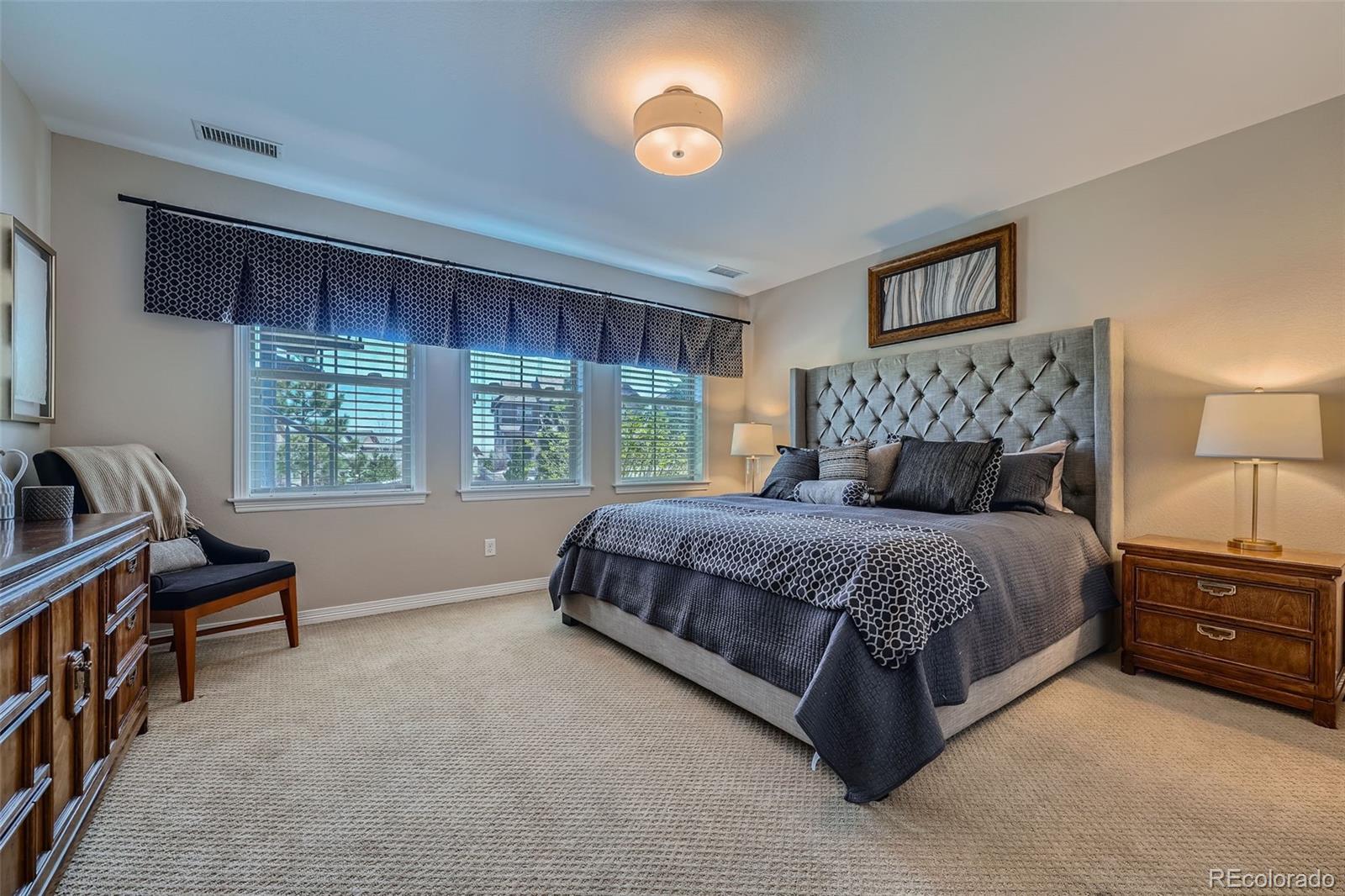 MLS Image #27 for 10646  winding pine point,highlands ranch, Colorado
