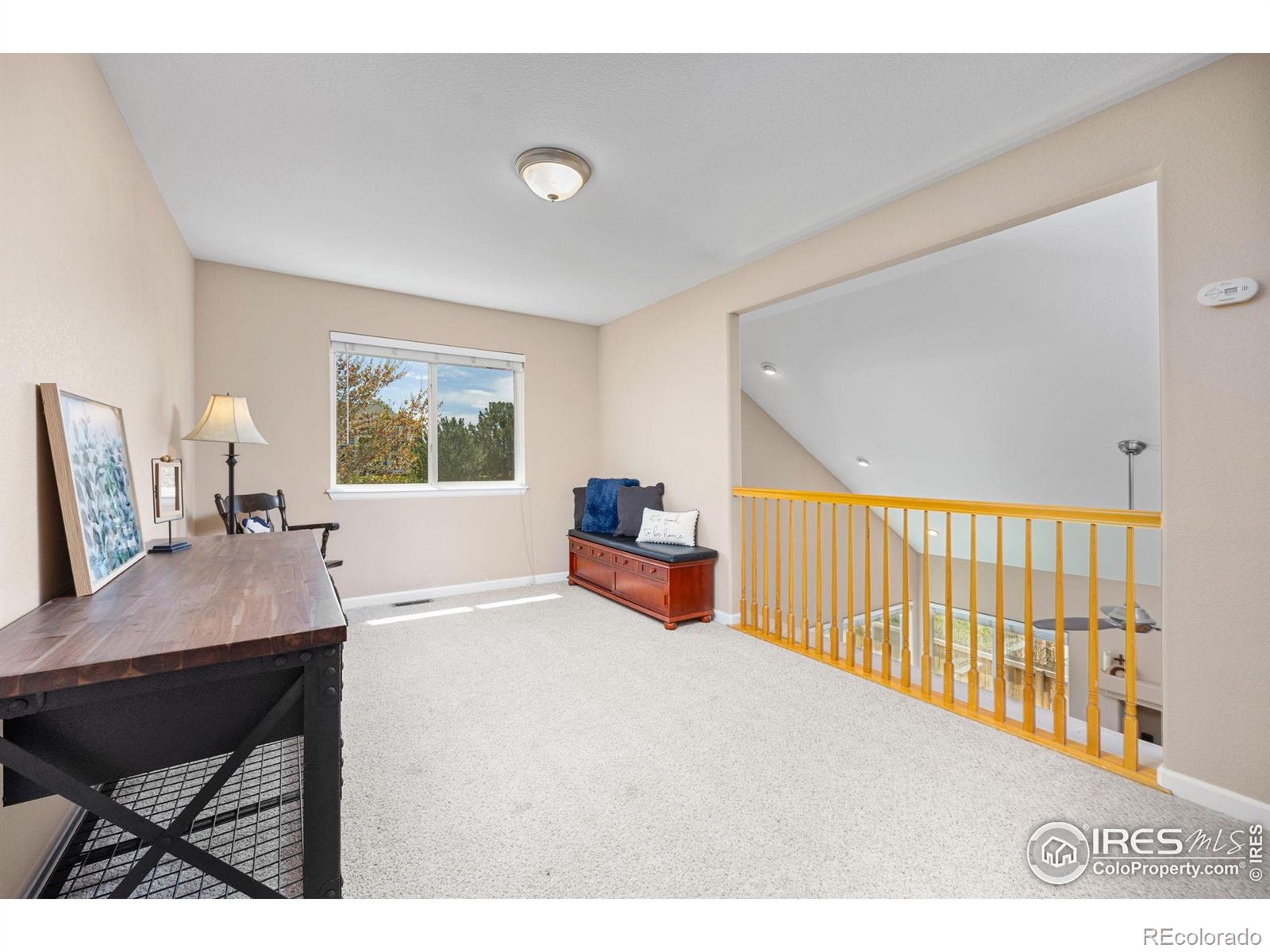 MLS Image #16 for 5912  thistle ridge avenue,firestone, Colorado