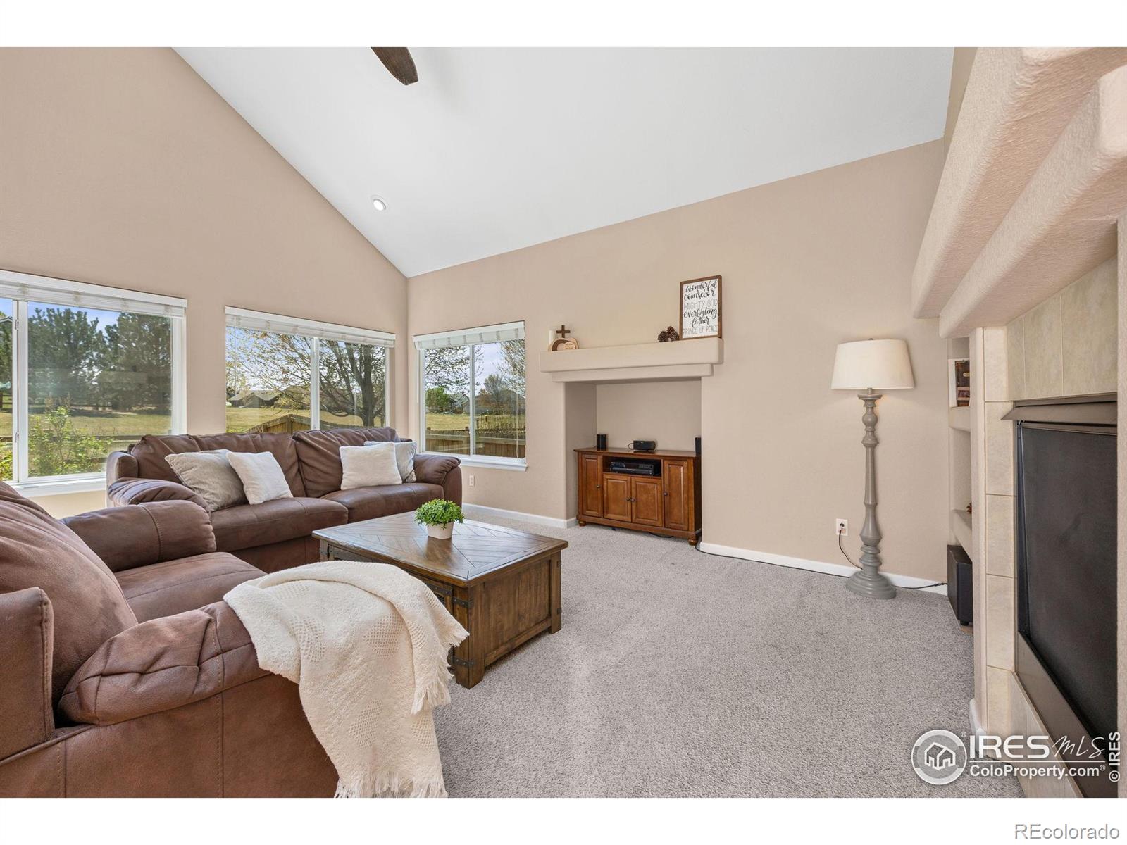 MLS Image #6 for 5912  thistle ridge avenue,firestone, Colorado