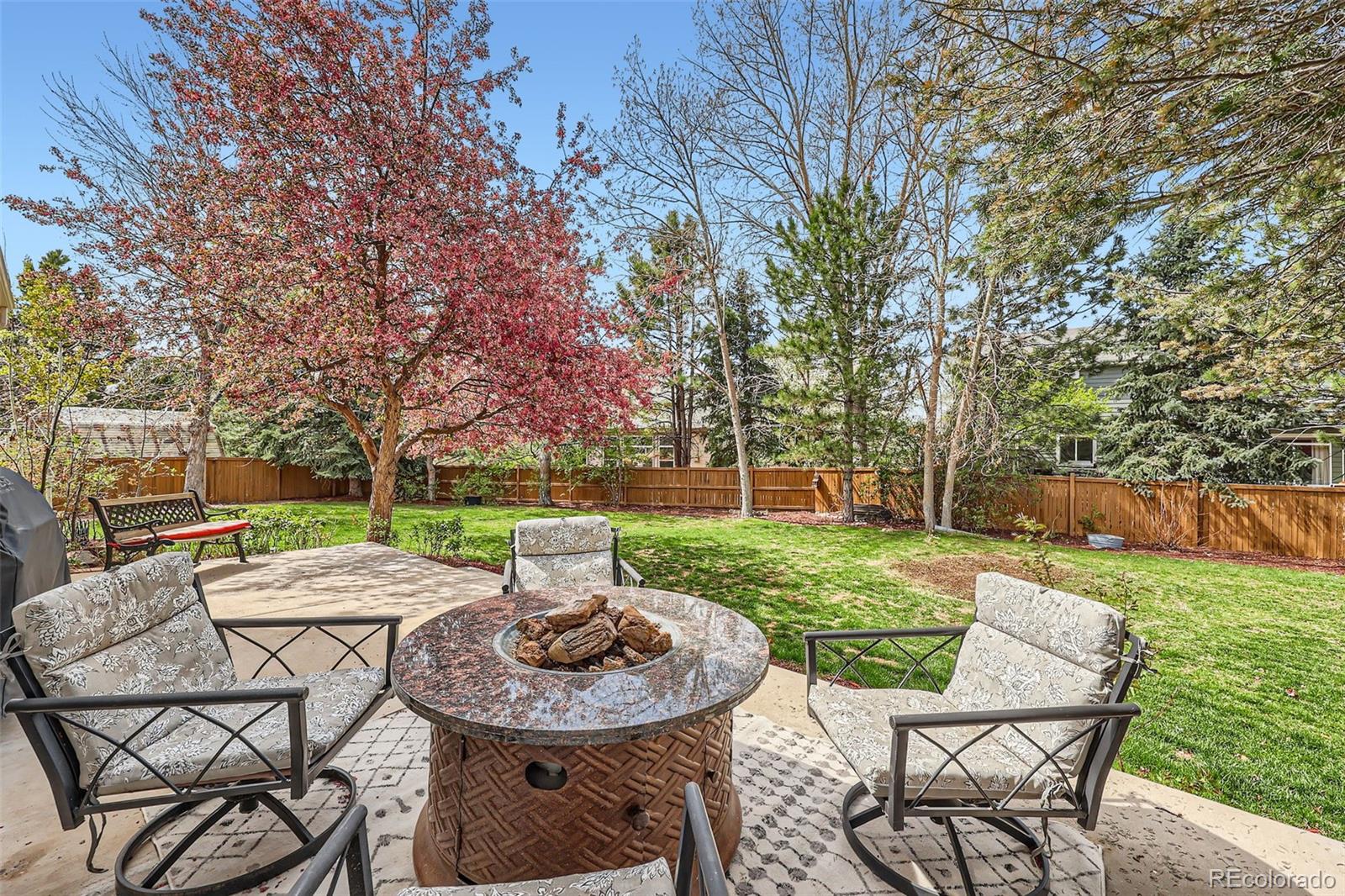 MLS Image #4 for 11321  mesa verde place,parker, Colorado