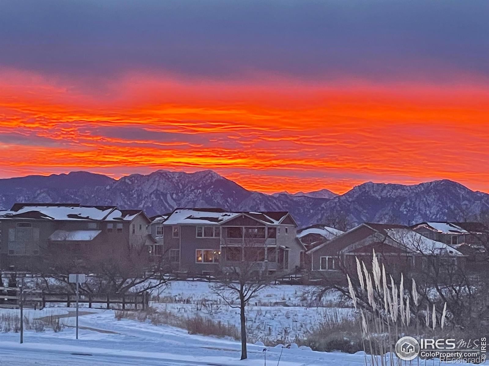 MLS Image #20 for 724  dakota lane,erie, Colorado