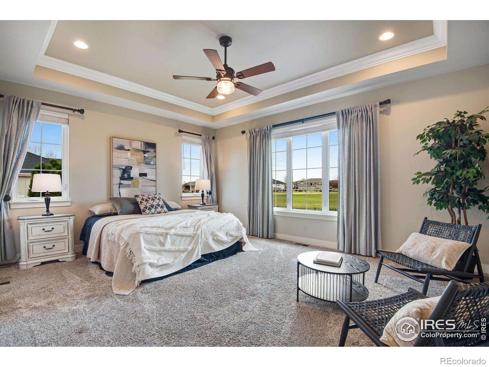 MLS Image #15 for 6297  crooked stick drive,windsor, Colorado