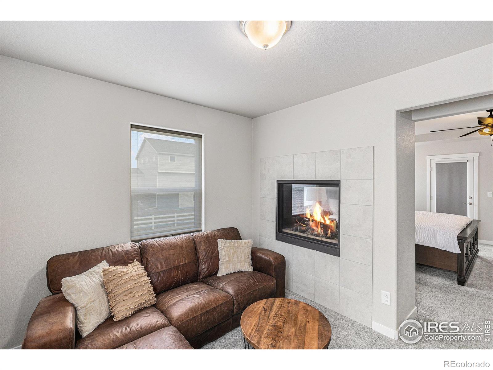 MLS Image #16 for 1030  urial drive,severance, Colorado