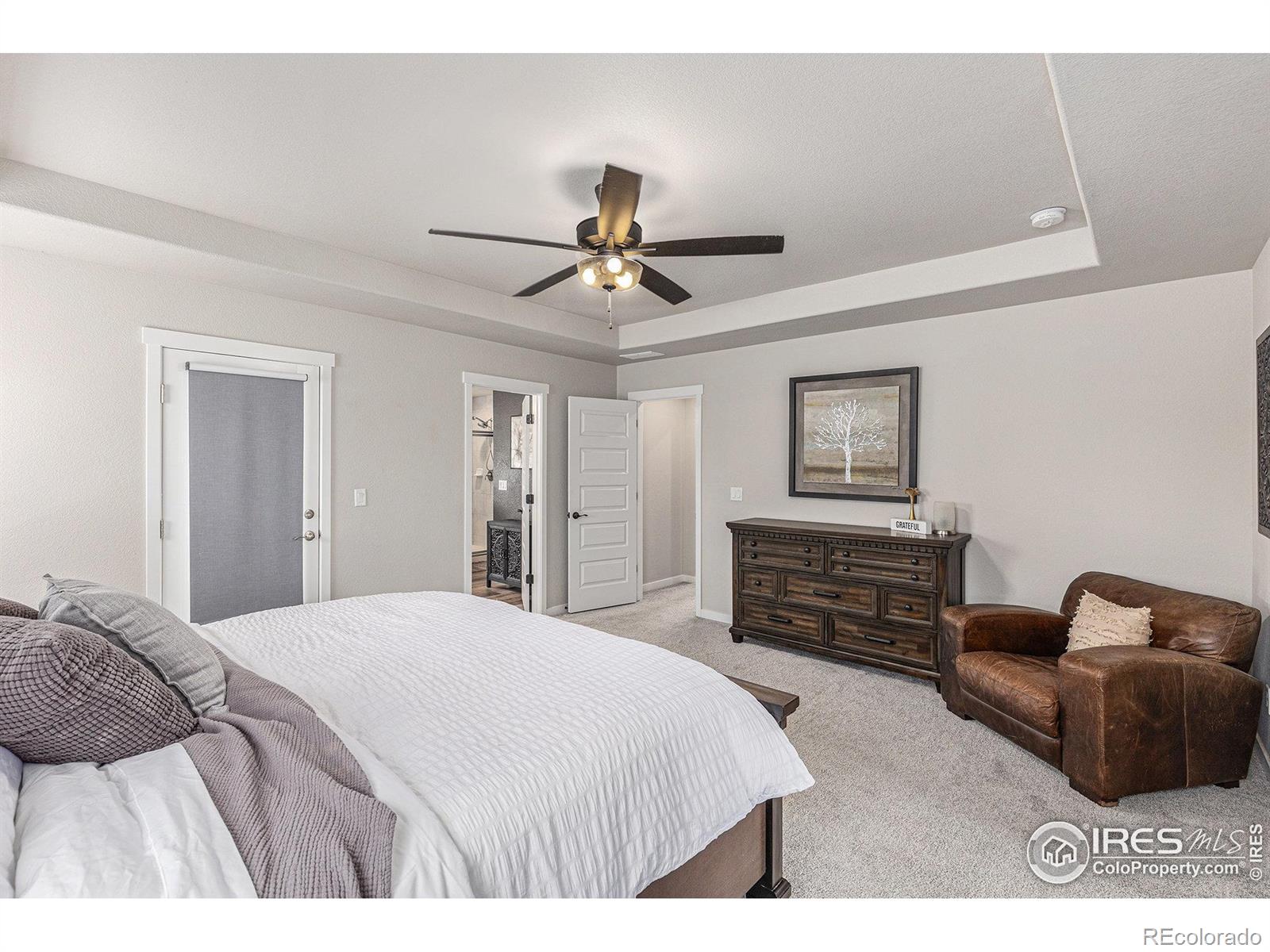 MLS Image #18 for 1030  urial drive,severance, Colorado