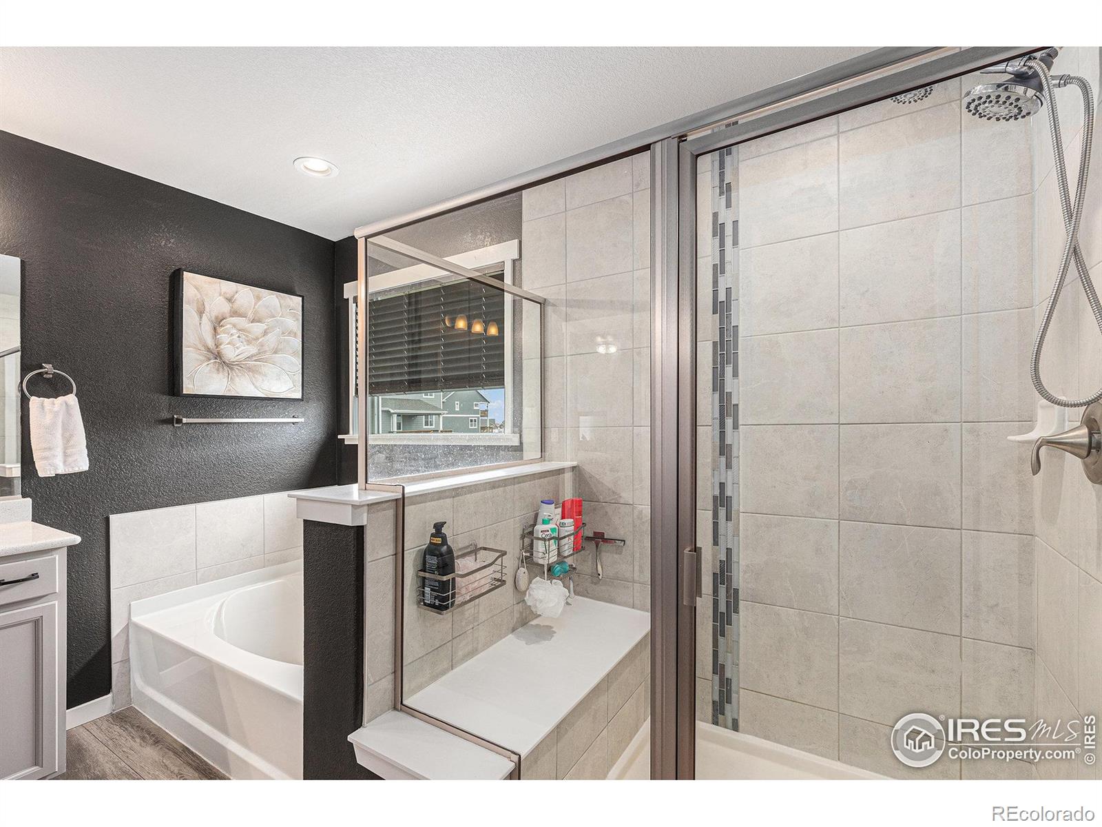 MLS Image #20 for 1030  urial drive,severance, Colorado