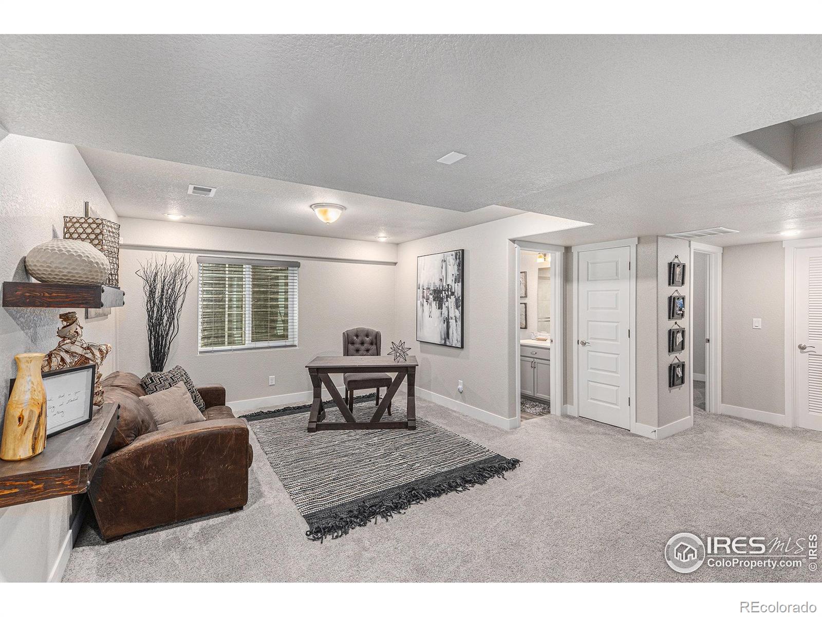 MLS Image #31 for 1030  urial drive,severance, Colorado