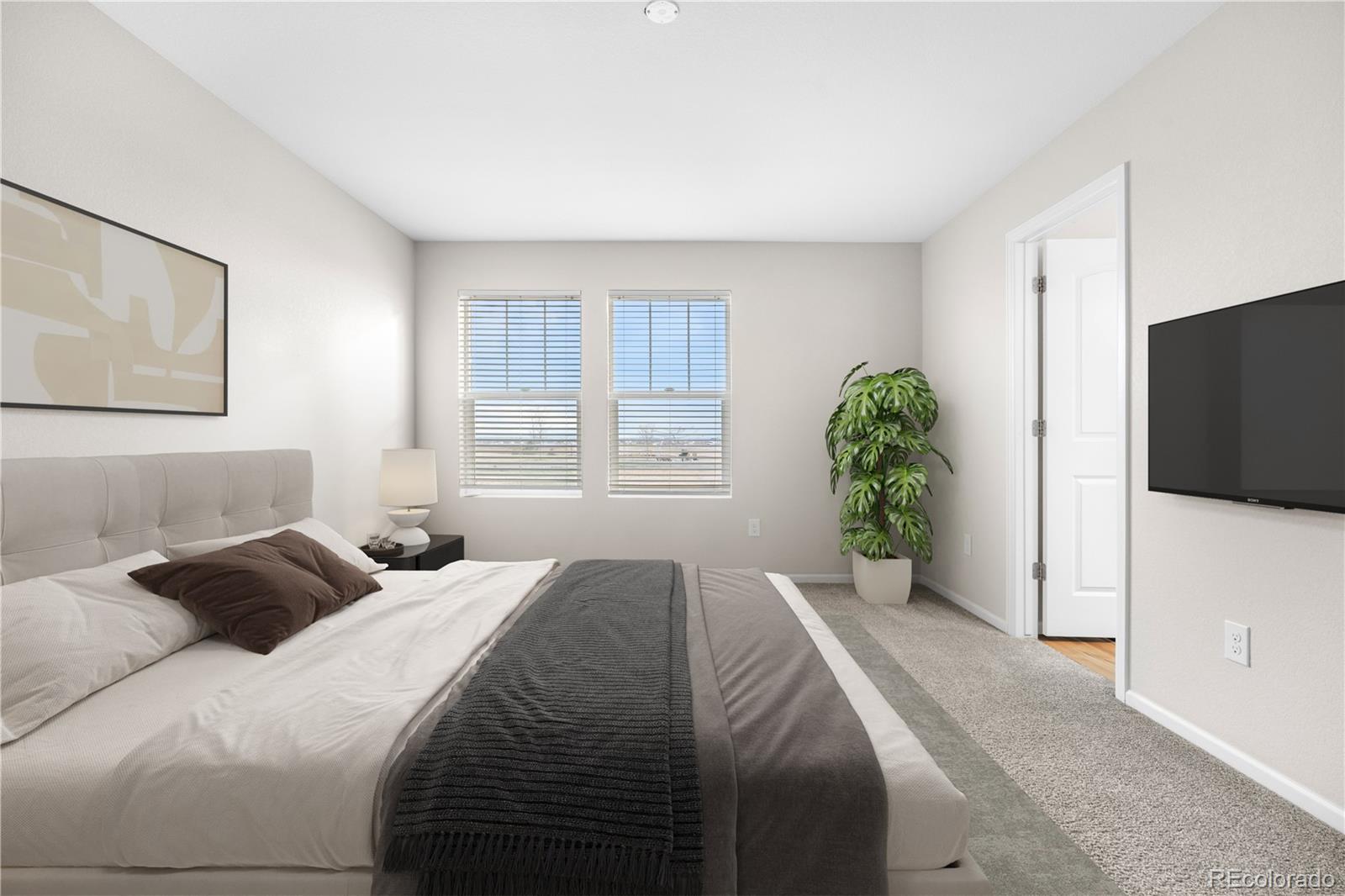 MLS Image #16 for 21313 e 59th place,aurora, Colorado