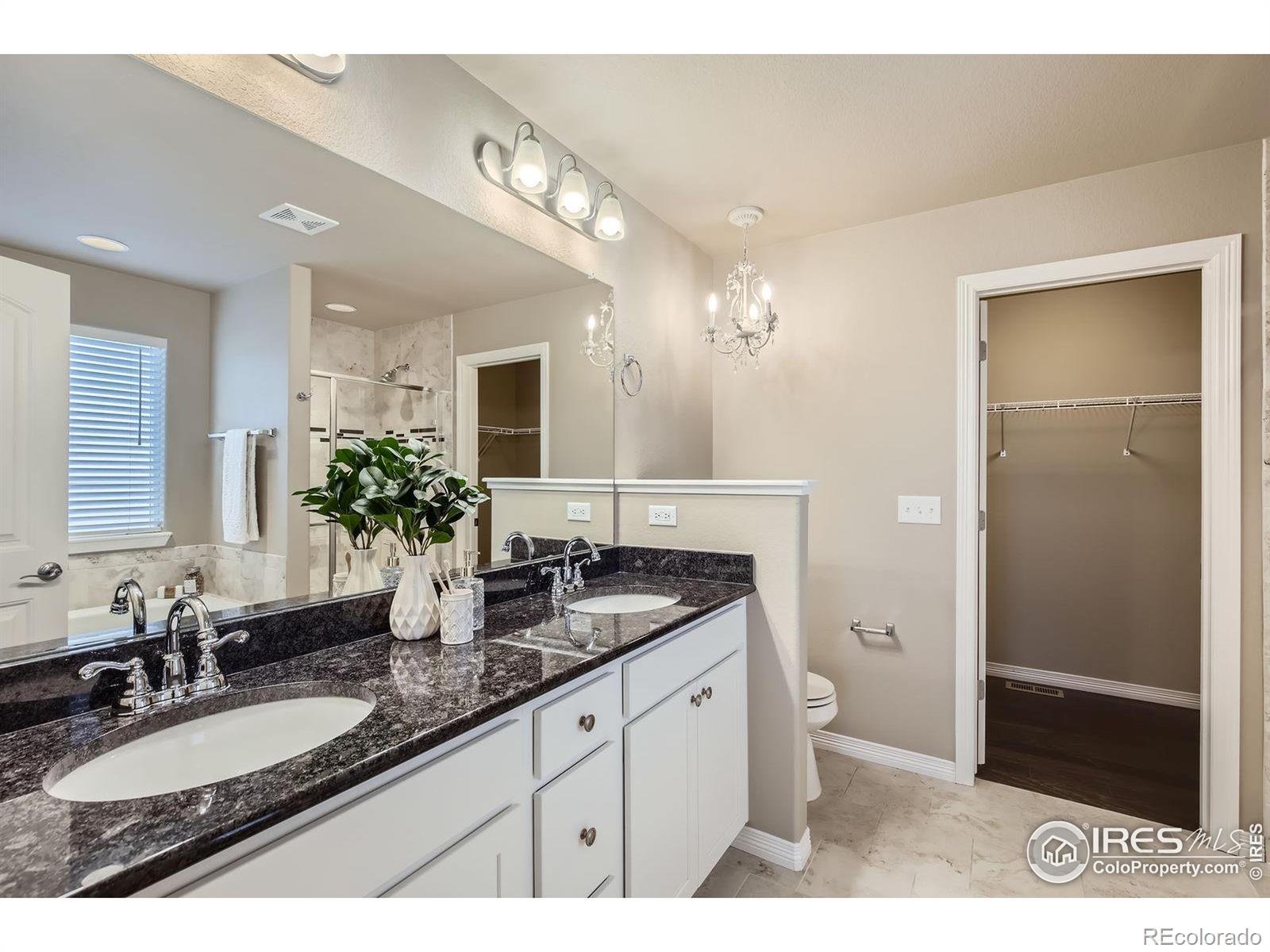 MLS Image #12 for 5573  bristow road,timnath, Colorado