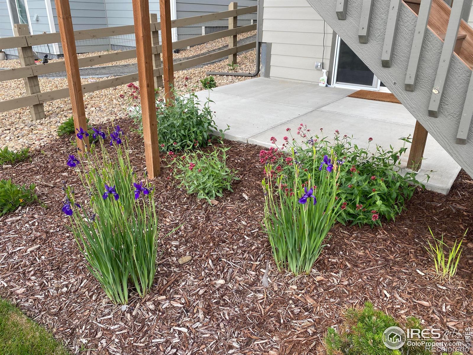MLS Image #26 for 5573  bristow road,timnath, Colorado
