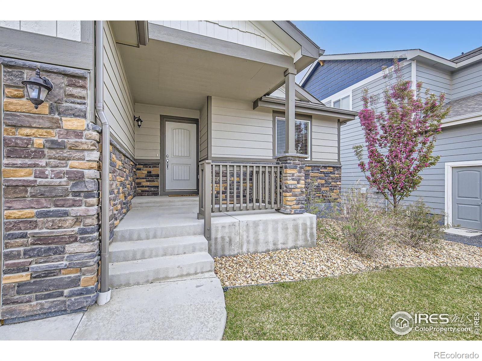 MLS Image #3 for 5573  bristow road,timnath, Colorado