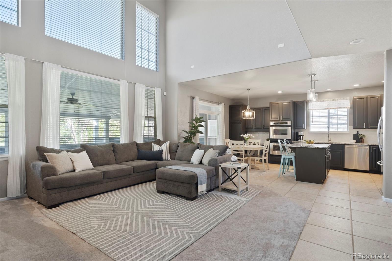 MLS Image #10 for 9713  crowsley court,parker, Colorado