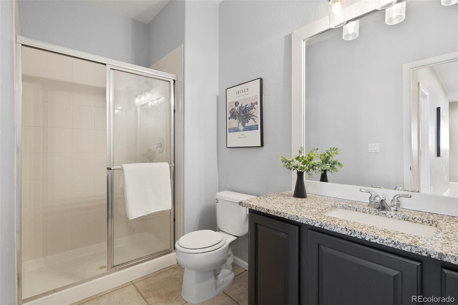 MLS Image #17 for 9713  crowsley court,parker, Colorado