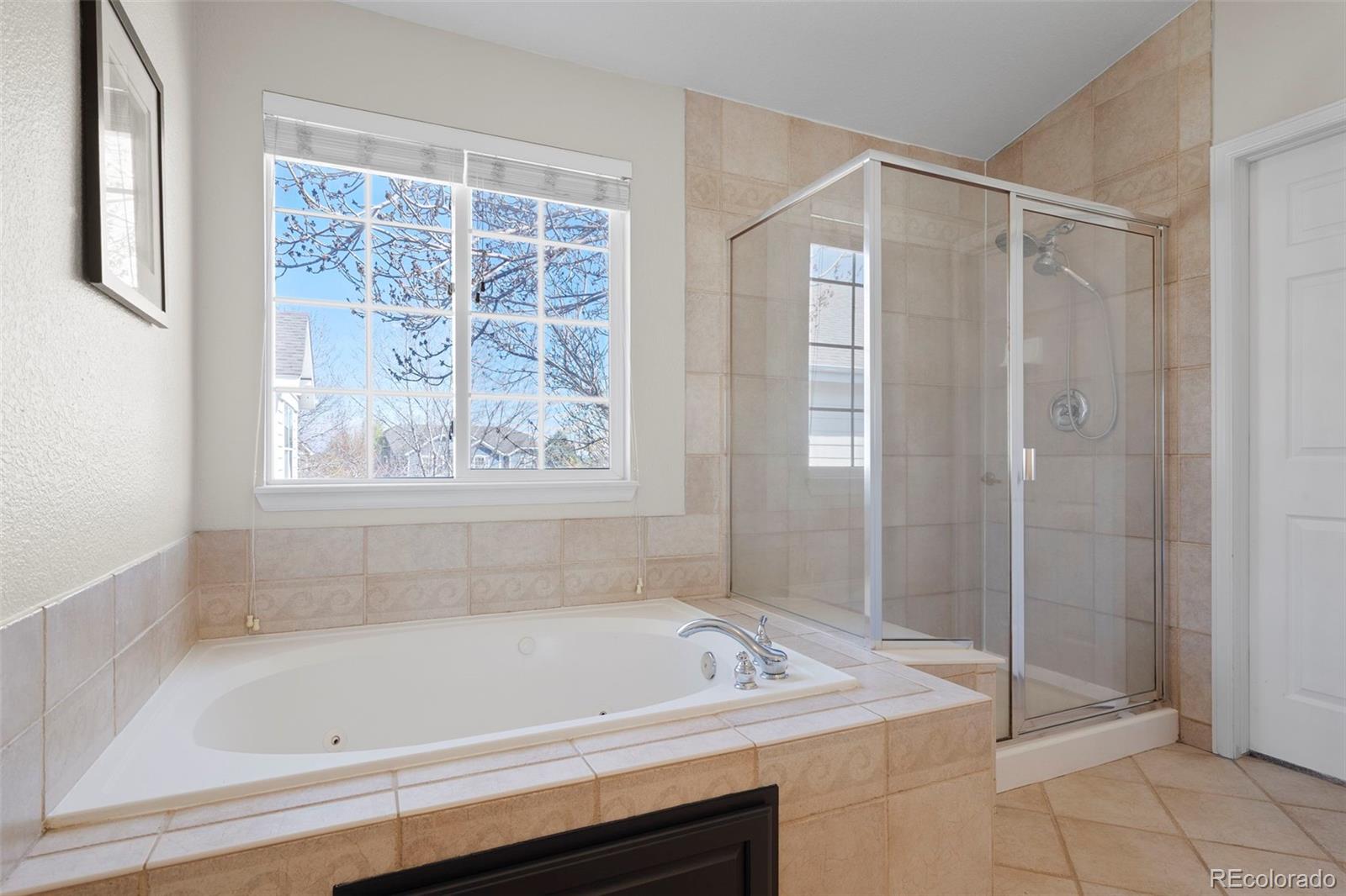 MLS Image #22 for 9713  crowsley court,parker, Colorado