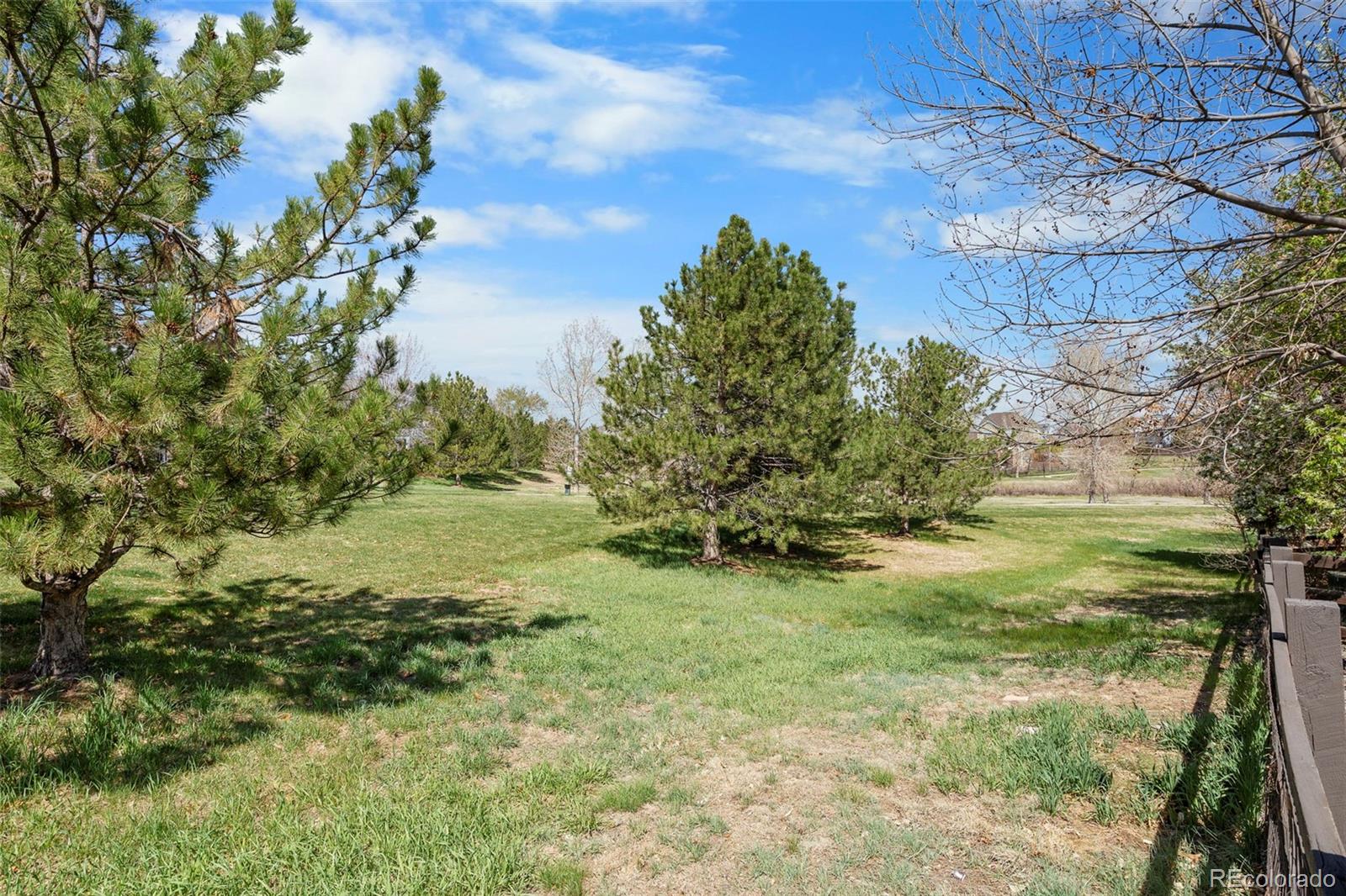 MLS Image #38 for 9713  crowsley court,parker, Colorado