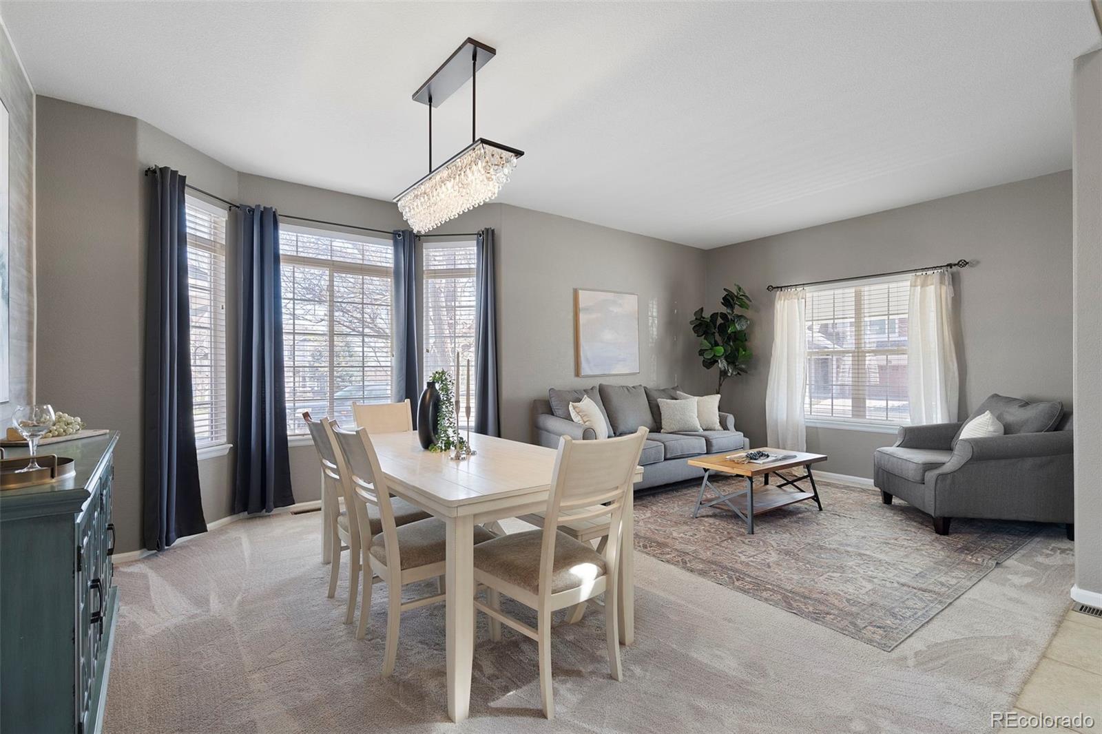 MLS Image #8 for 9713  crowsley court,parker, Colorado