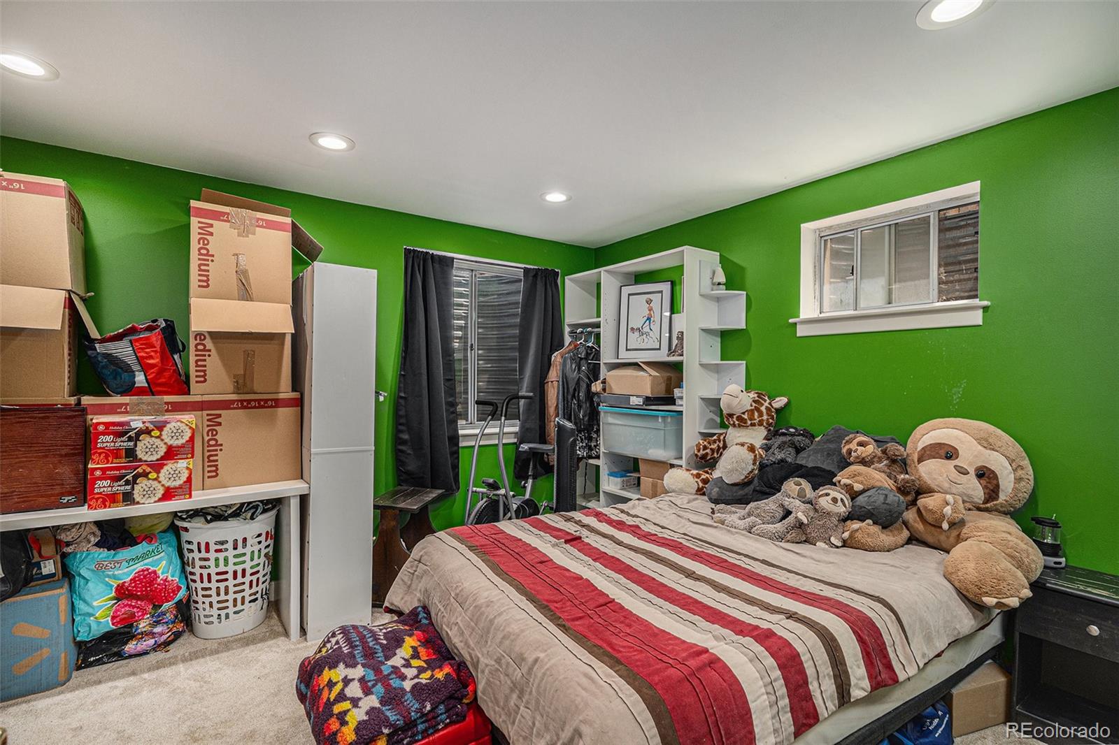 MLS Image #10 for 9626  whitecliff place,highlands ranch, Colorado