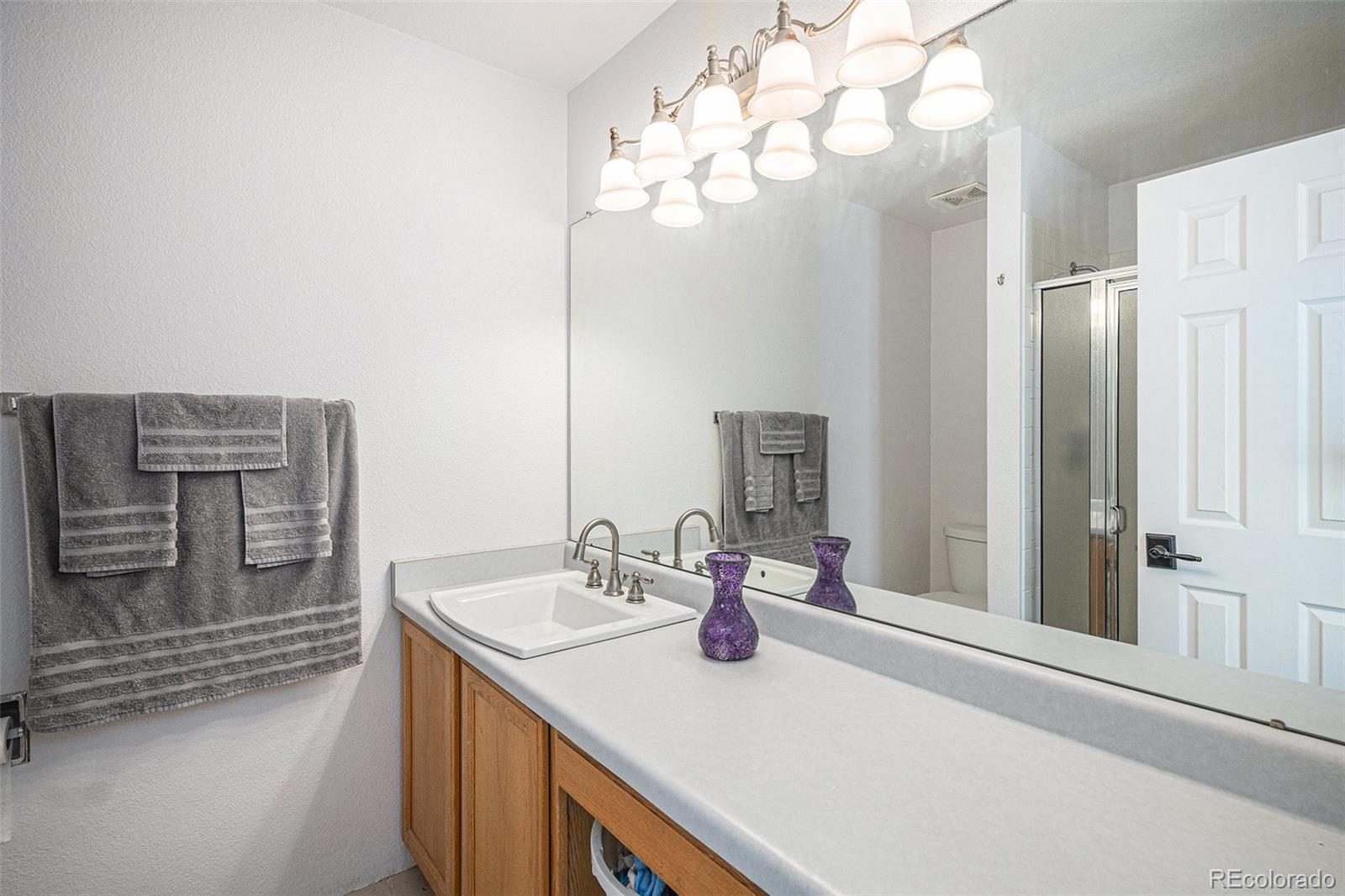 MLS Image #15 for 9626  whitecliff place,highlands ranch, Colorado