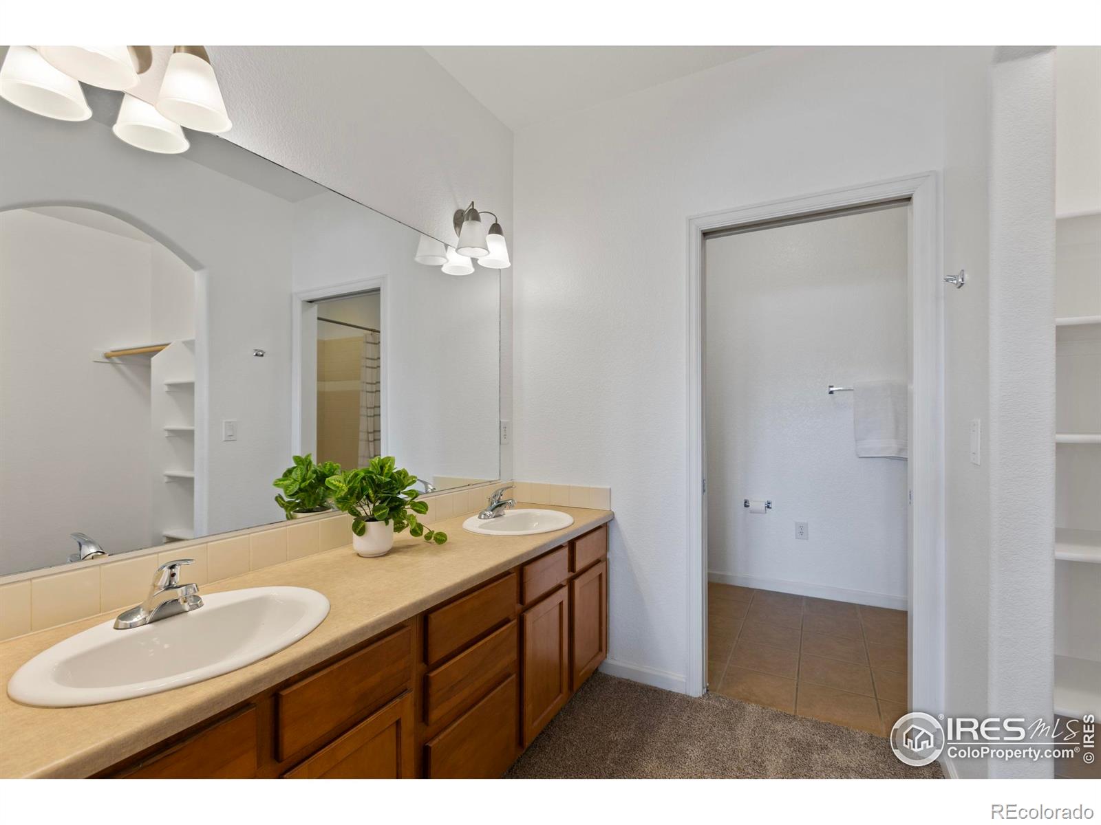 MLS Image #18 for 2420  owens avenue,fort collins, Colorado