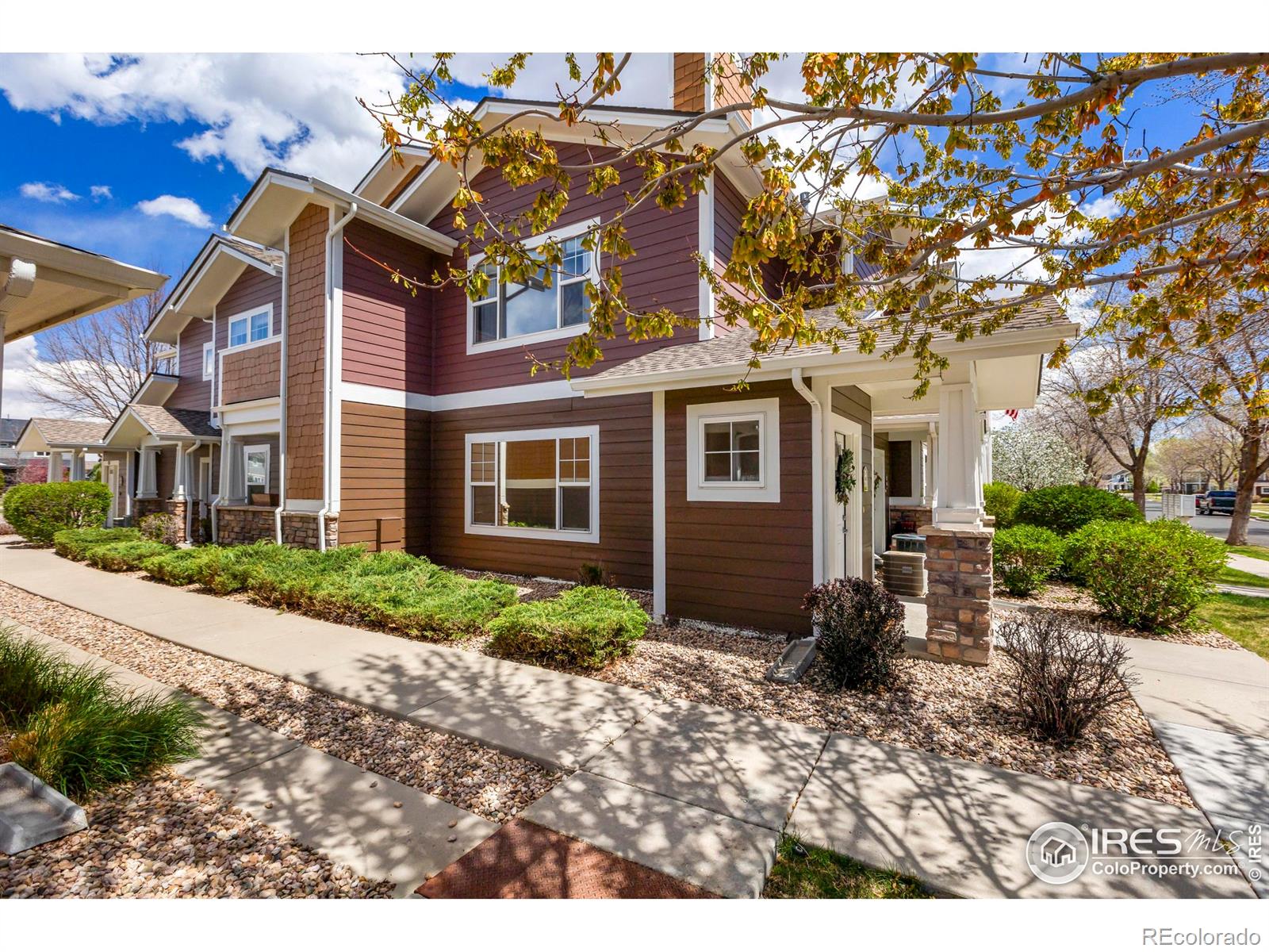 MLS Image #2 for 2420  owens avenue,fort collins, Colorado