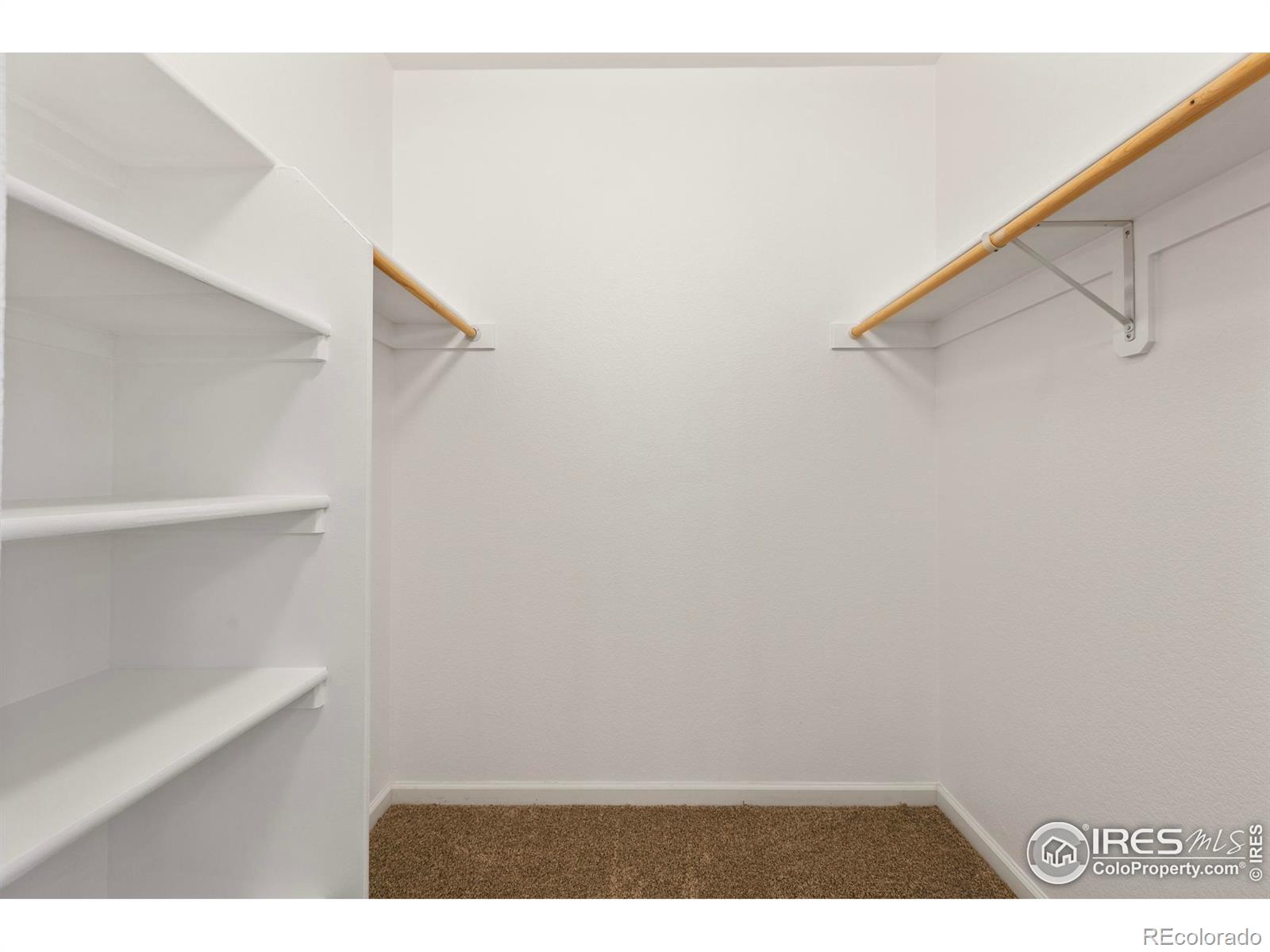 MLS Image #20 for 2420  owens avenue,fort collins, Colorado