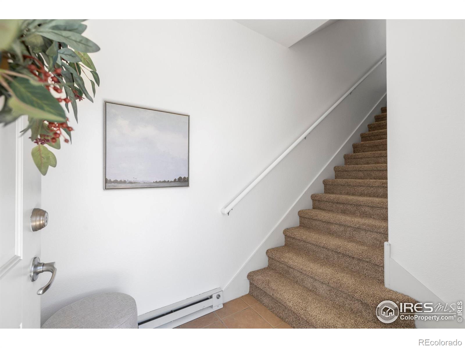 MLS Image #3 for 2420  owens avenue,fort collins, Colorado