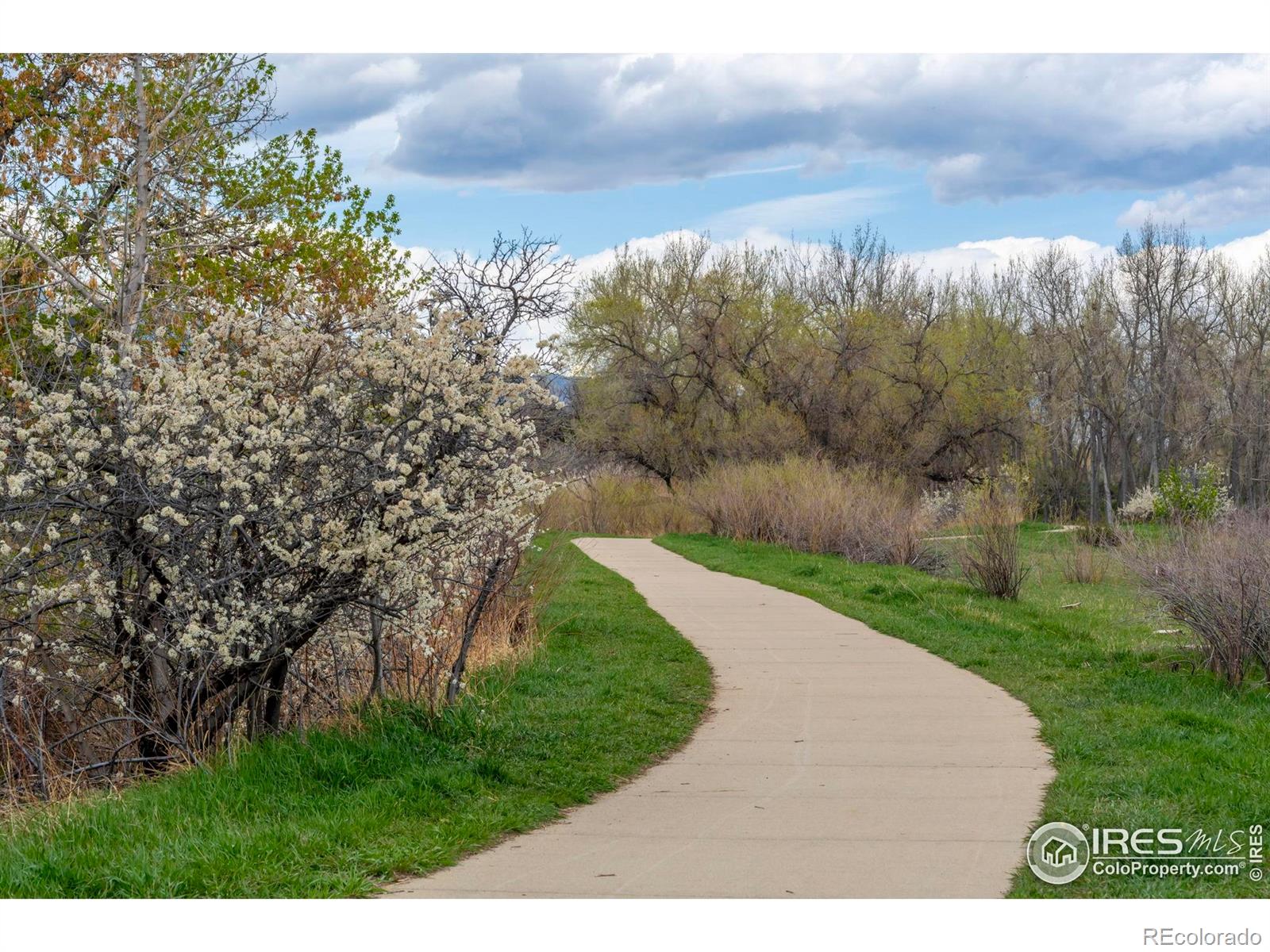 MLS Image #34 for 162  monarch street,louisville, Colorado
