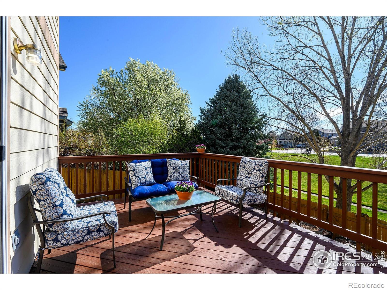 MLS Image #15 for 1320  indian paintbrush lane,longmont, Colorado