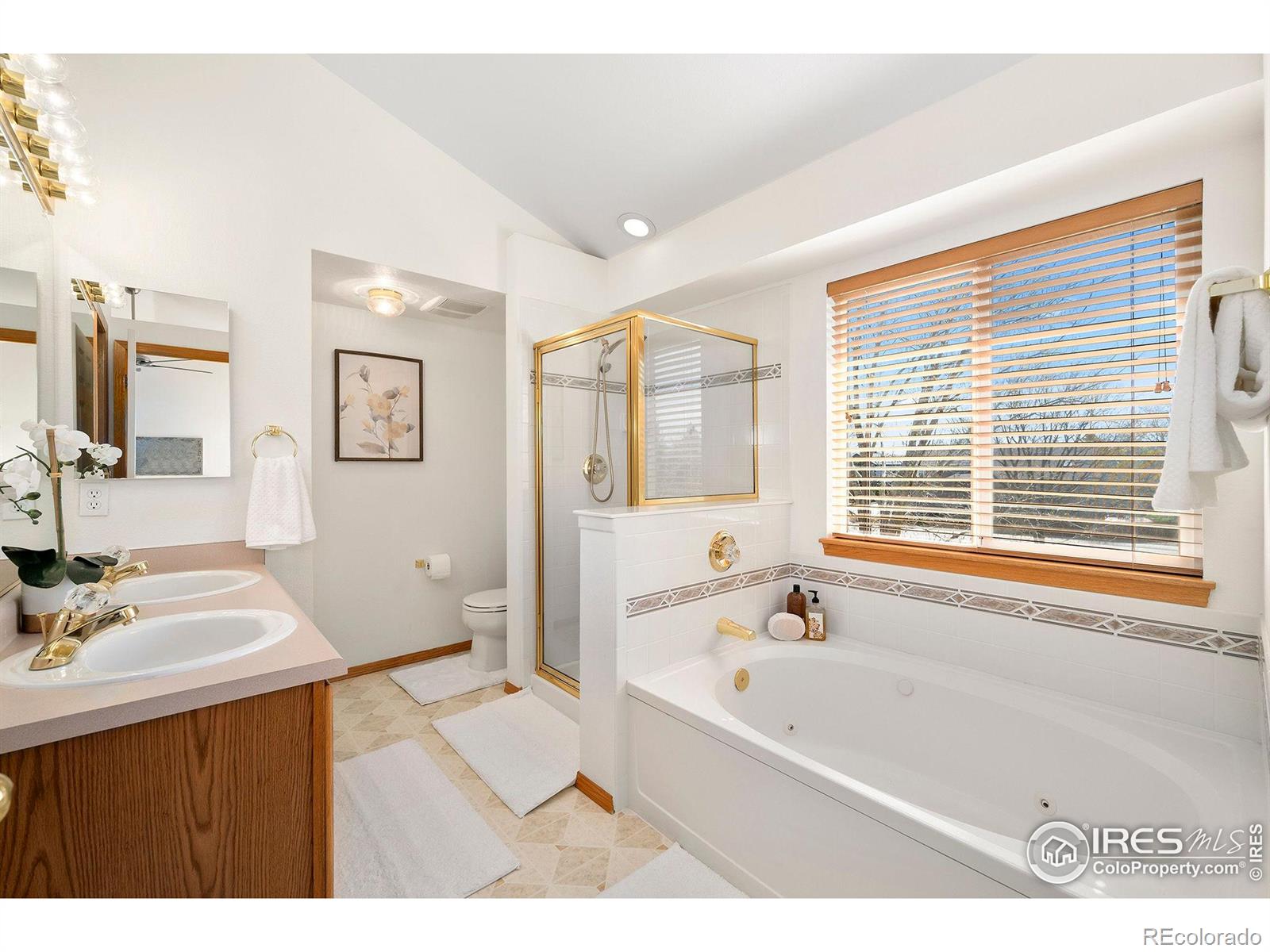 MLS Image #18 for 1320  indian paintbrush lane,longmont, Colorado