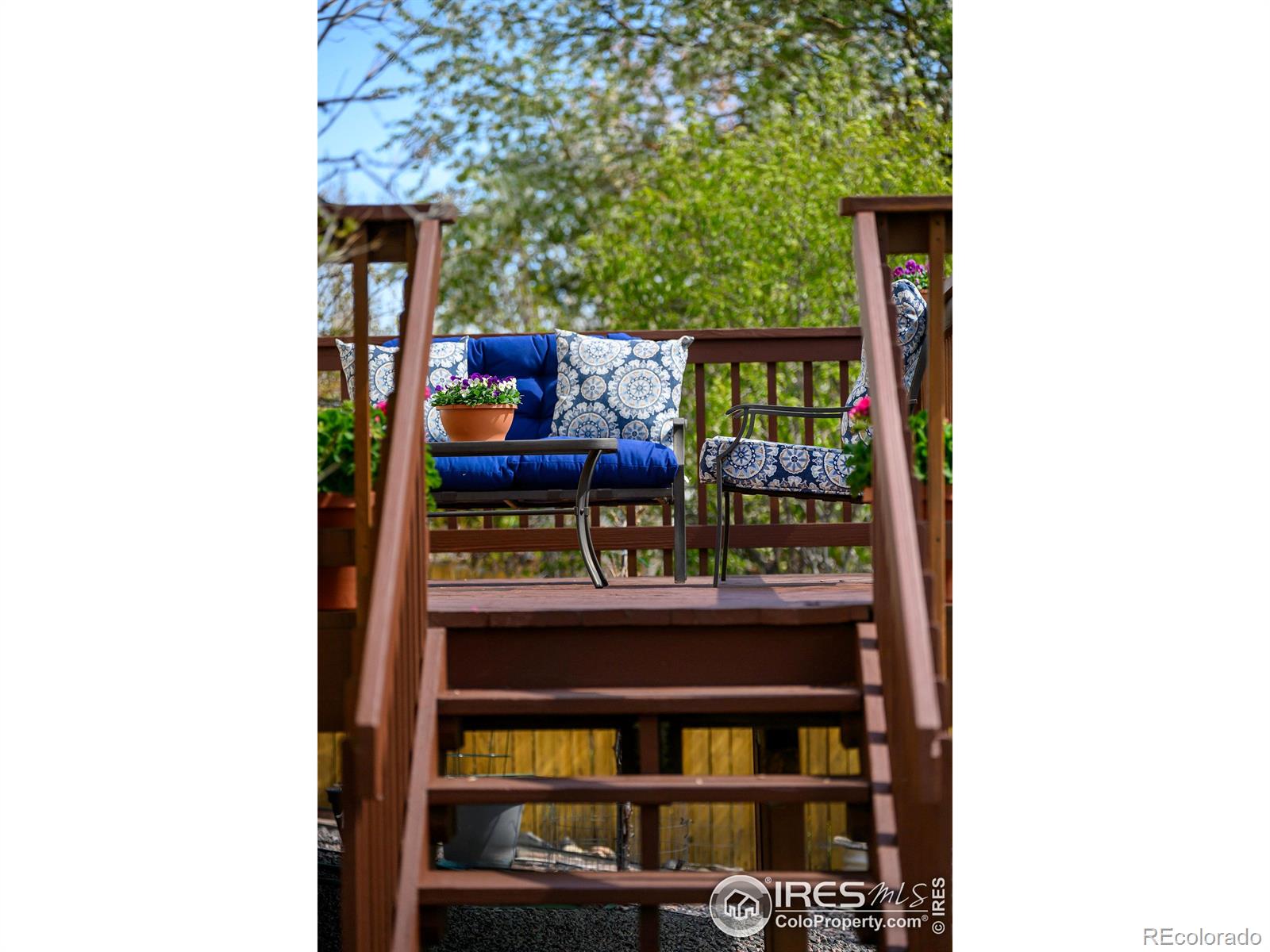 MLS Image #25 for 1320  indian paintbrush lane,longmont, Colorado