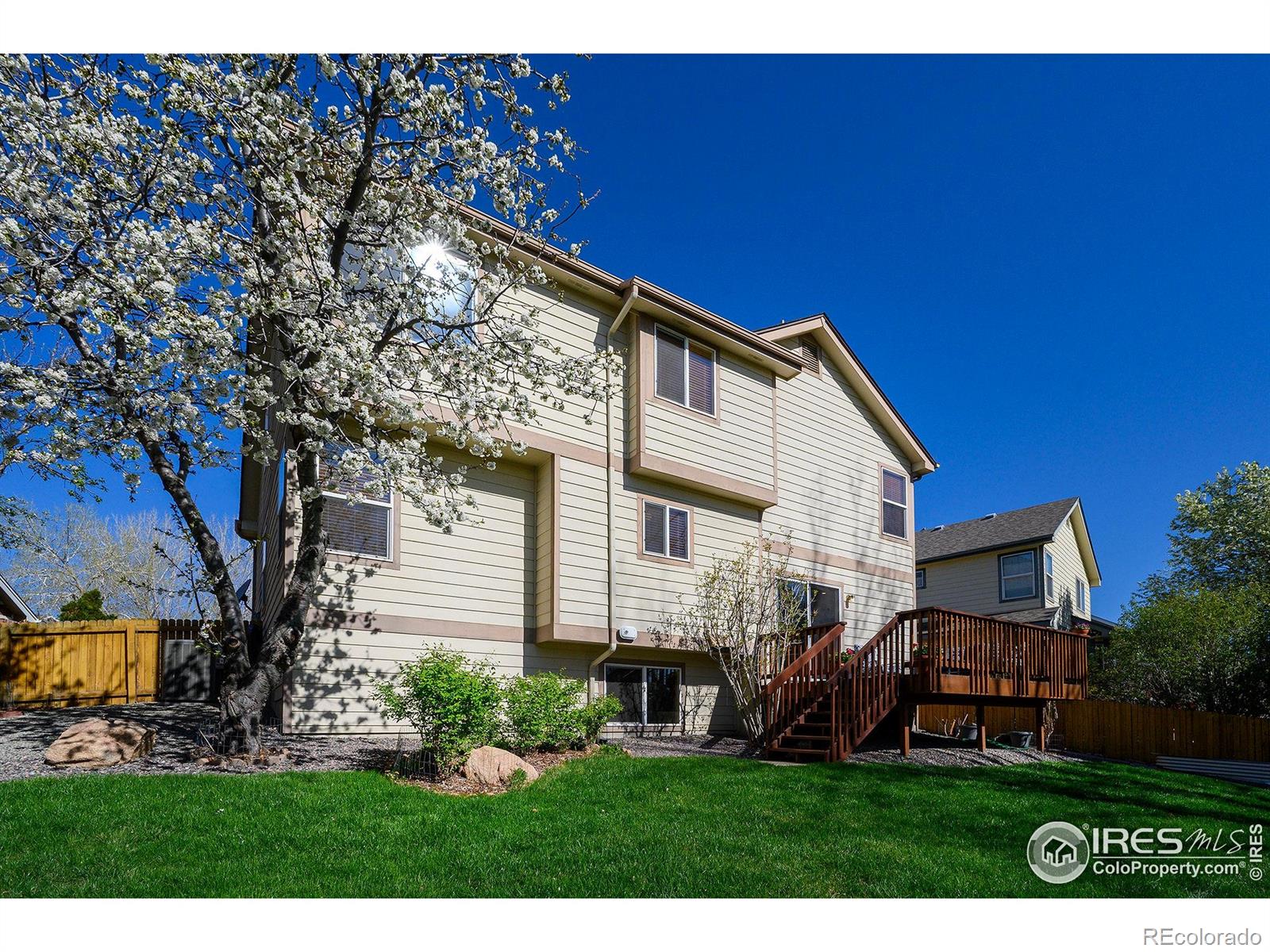 MLS Image #26 for 1320  indian paintbrush lane,longmont, Colorado