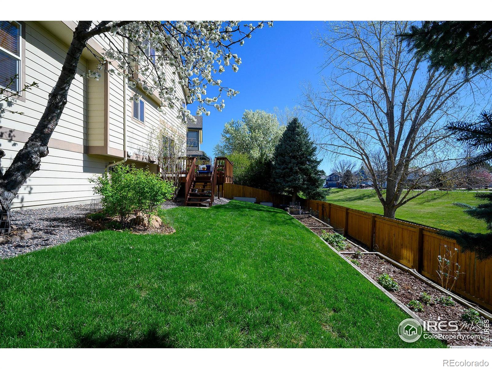 MLS Image #28 for 1320  indian paintbrush lane,longmont, Colorado