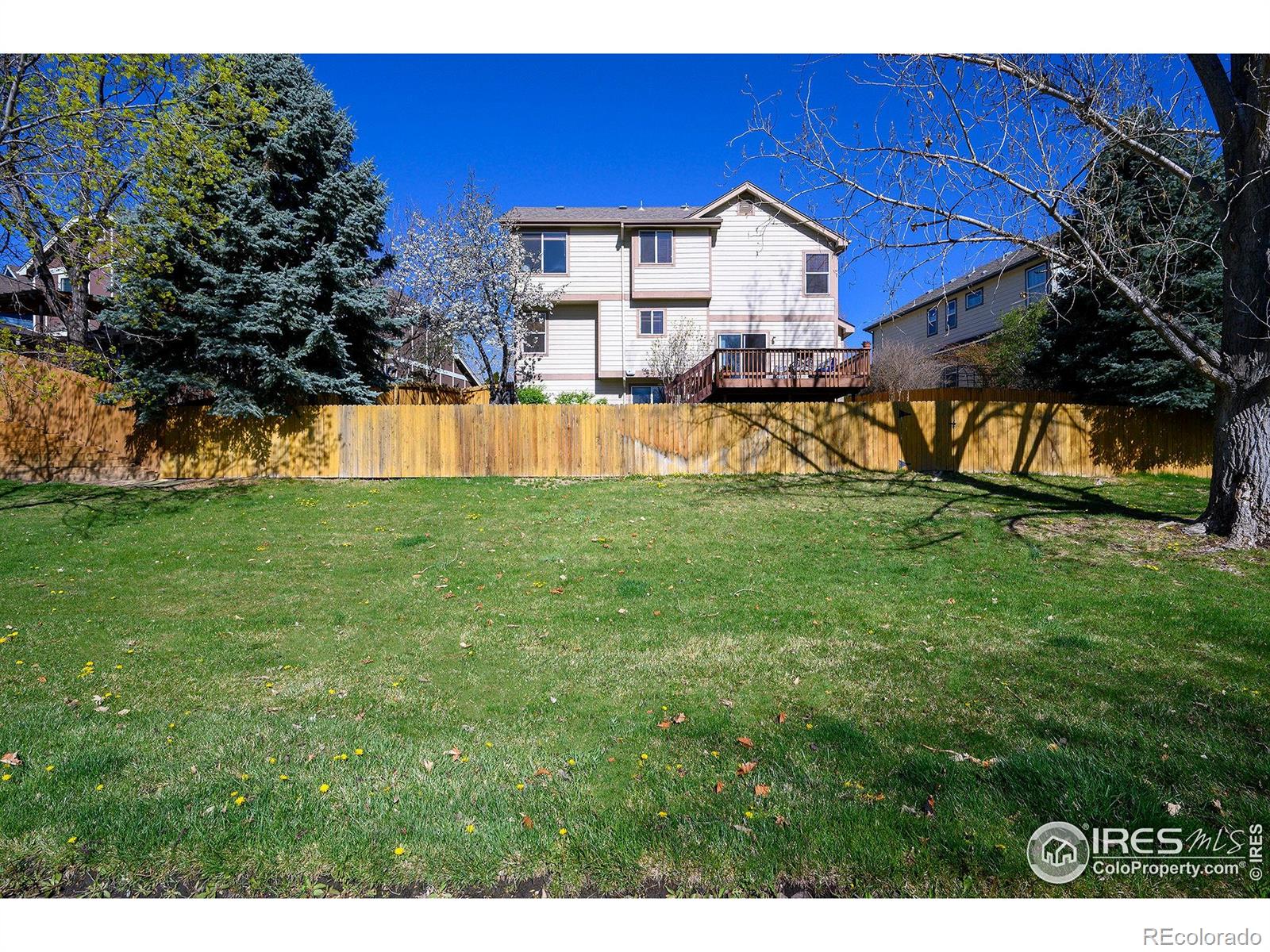 MLS Image #29 for 1320  indian paintbrush lane,longmont, Colorado