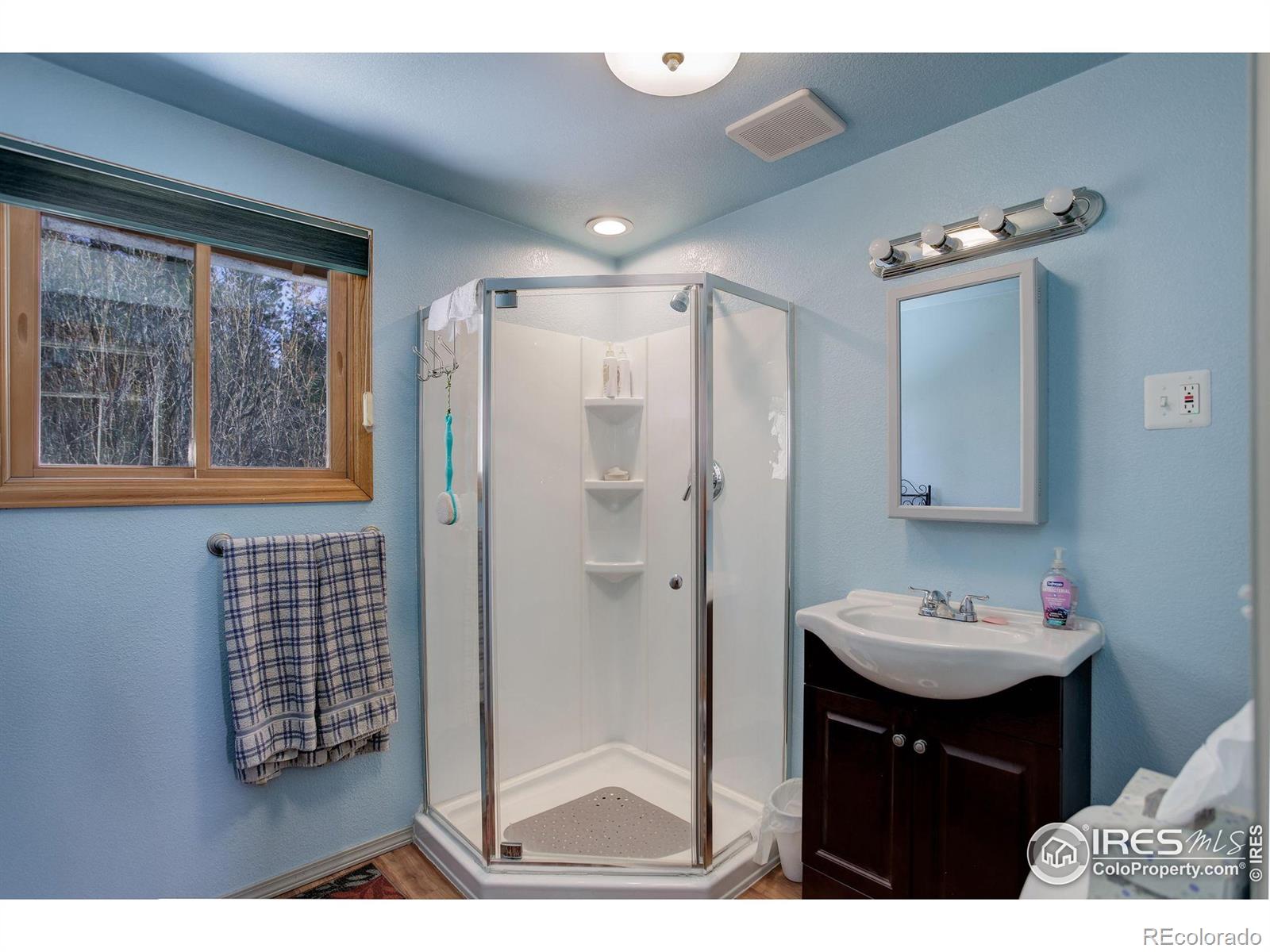 MLS Image #14 for 147  cedar drive,lyons, Colorado