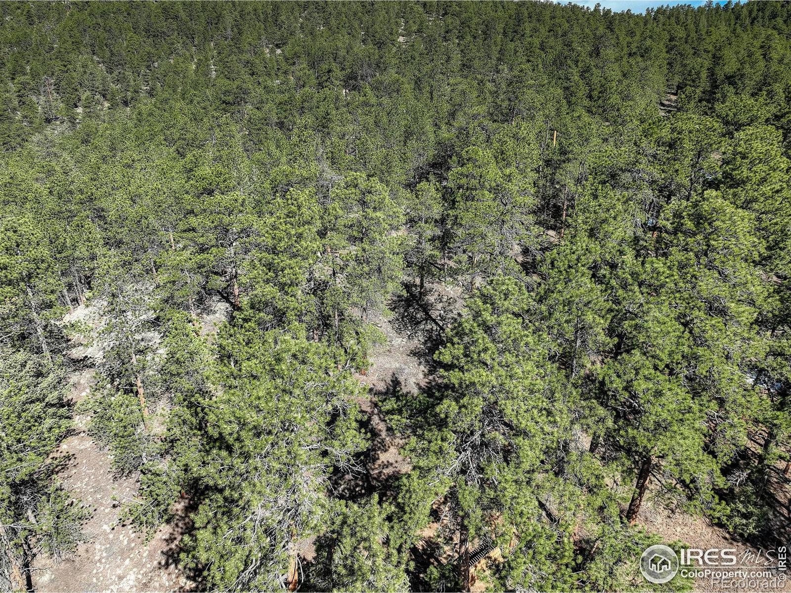 MLS Image #28 for 147  cedar drive,lyons, Colorado