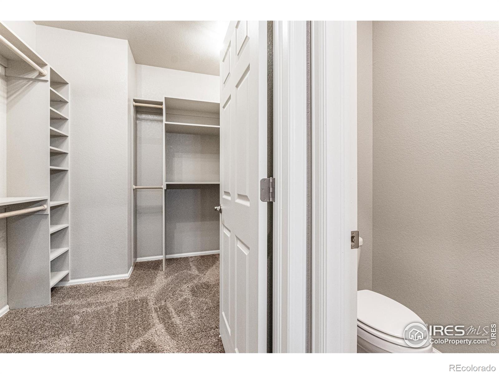 MLS Image #18 for 1780  floret drive,windsor, Colorado