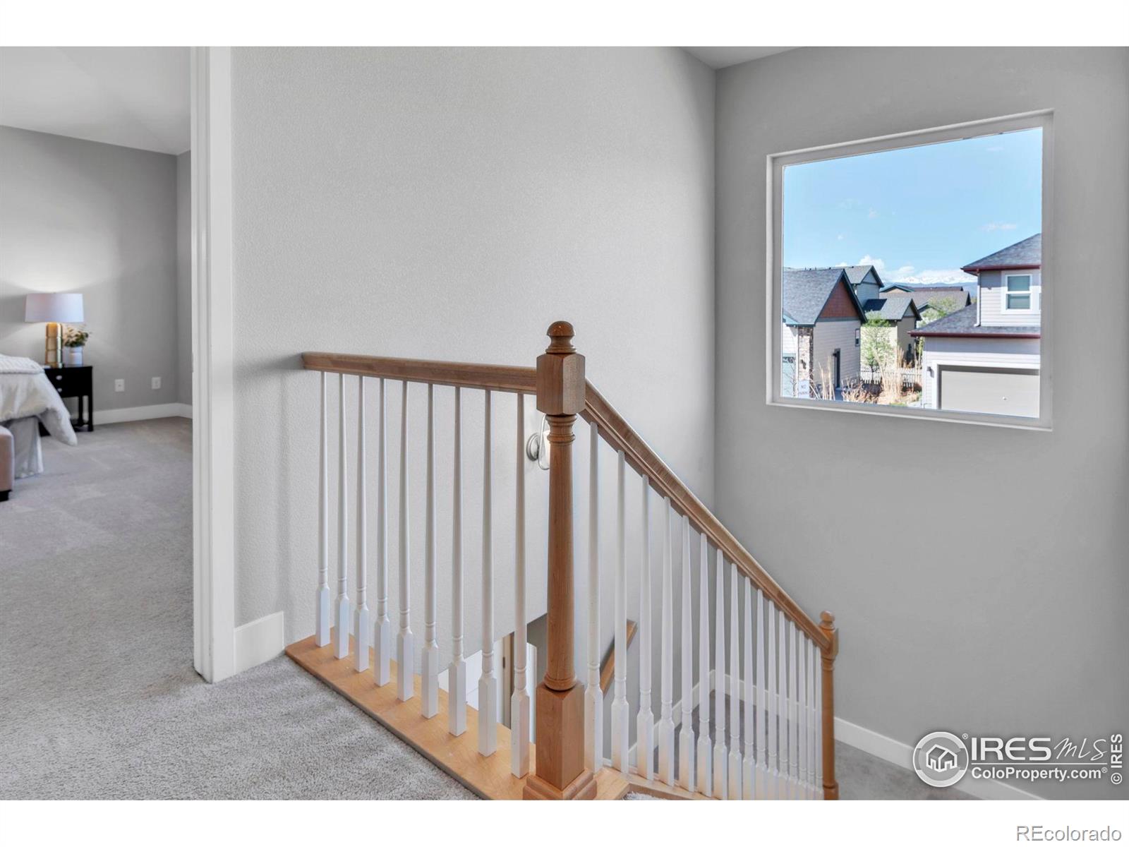 MLS Image #14 for 1302 s oak court,longmont, Colorado