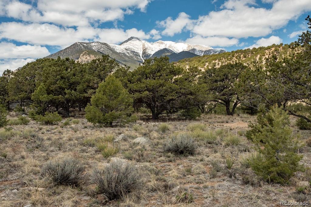 MLS Image #30 for 15194  heywood  ln ,nathrop, Colorado
